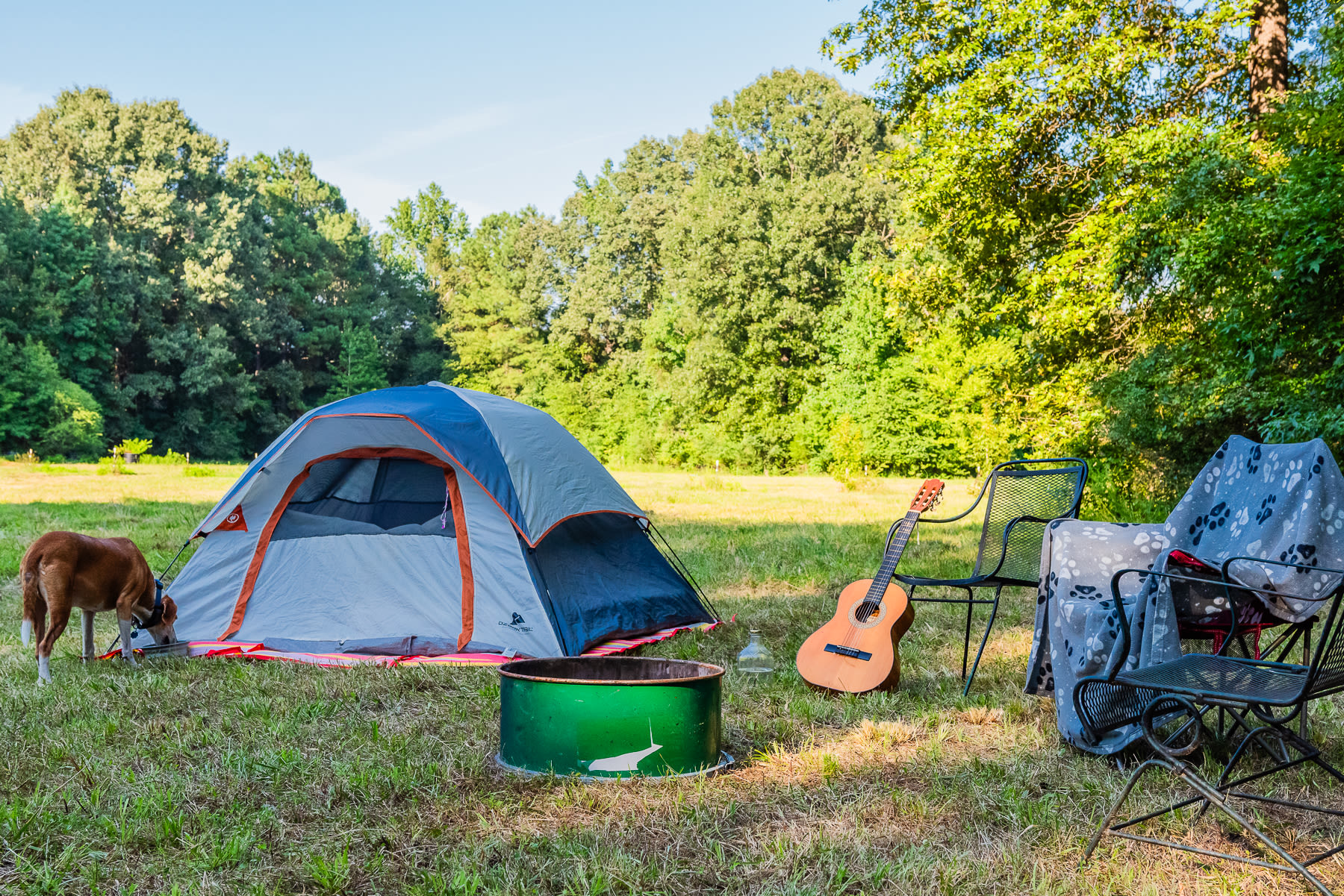 Louis takes a drink after exploring.