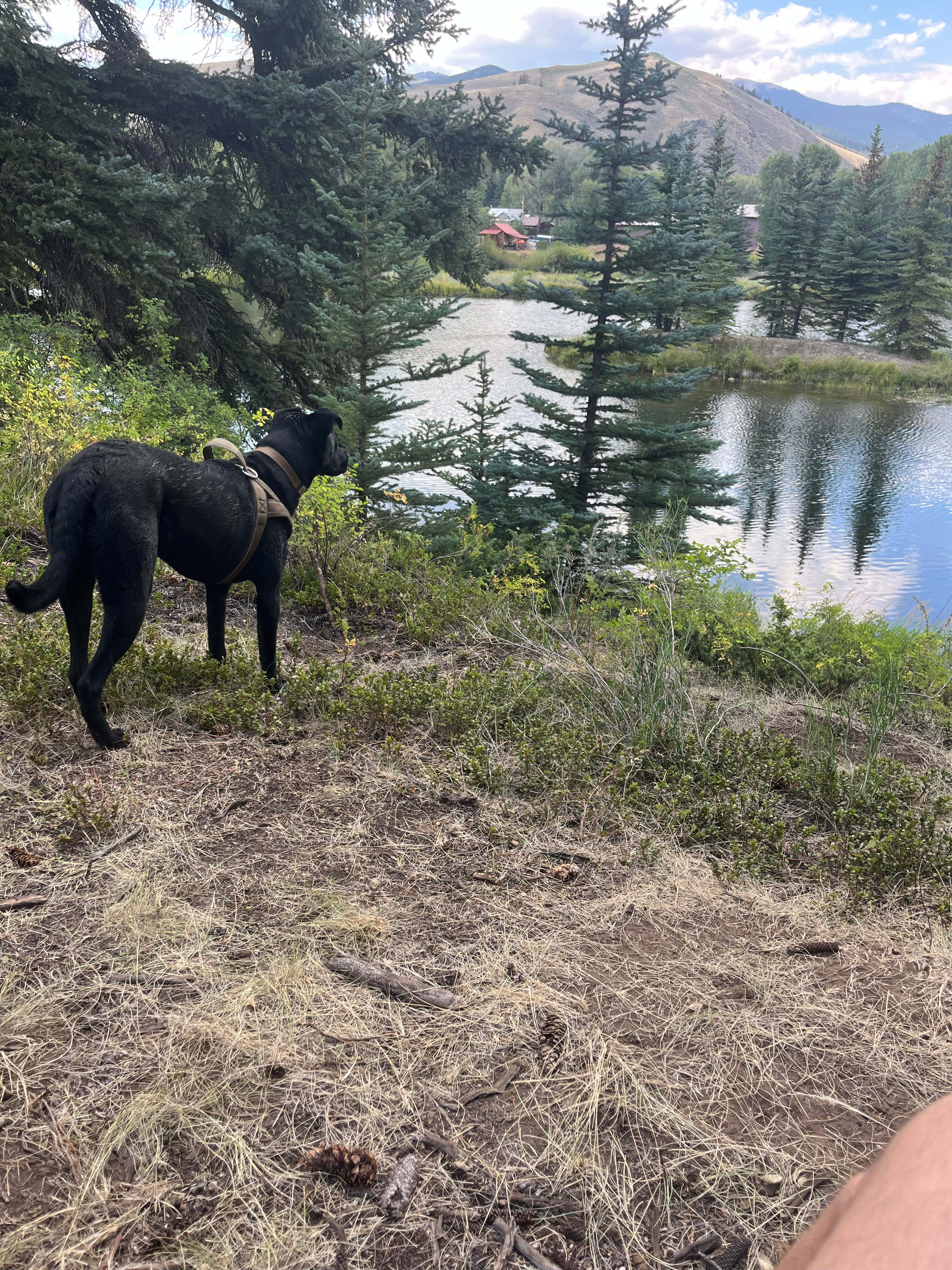 The Gold Links Ranch