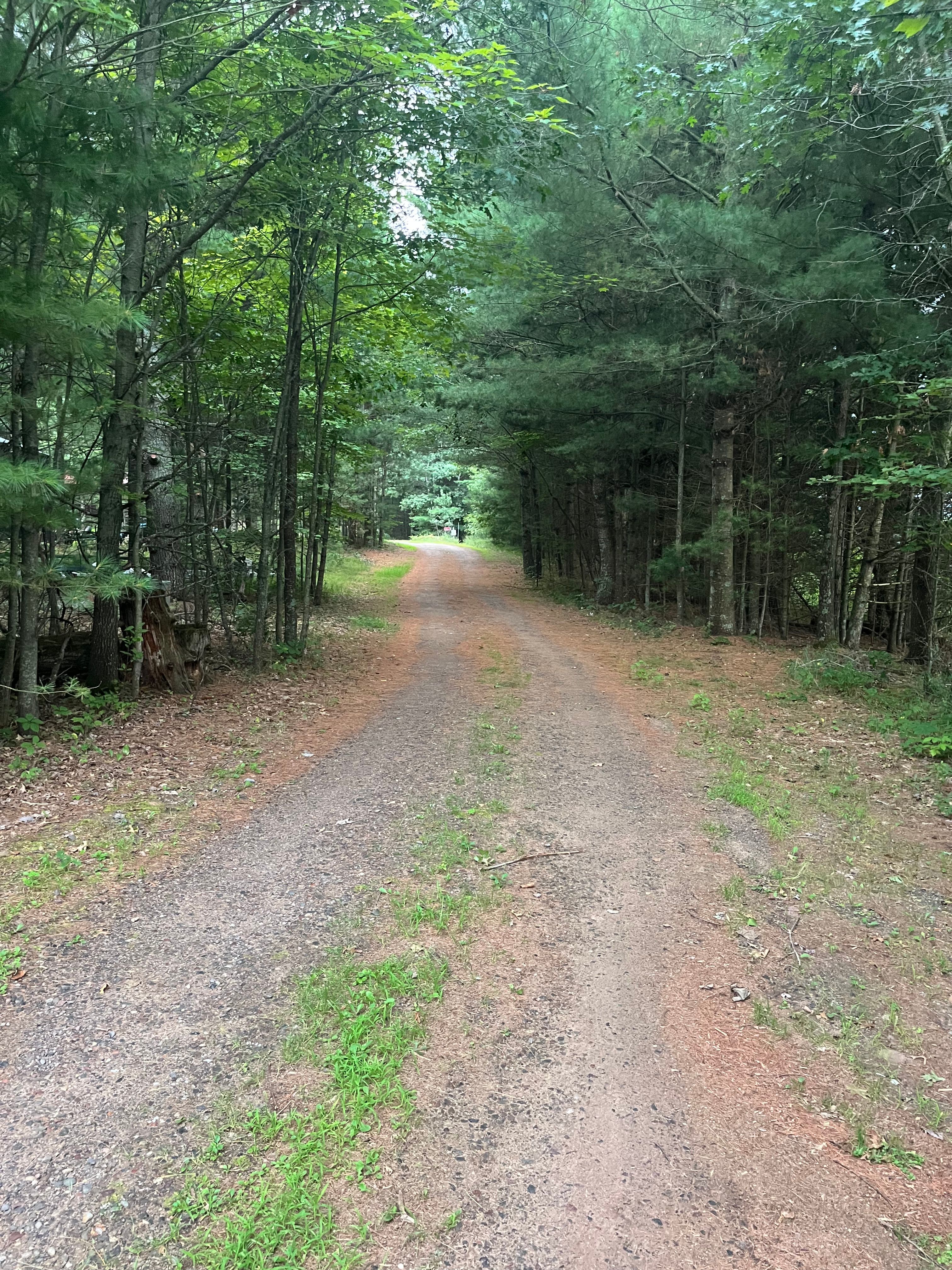 This is the easement into the property.  The one site would be to the left about the middle of the picture.