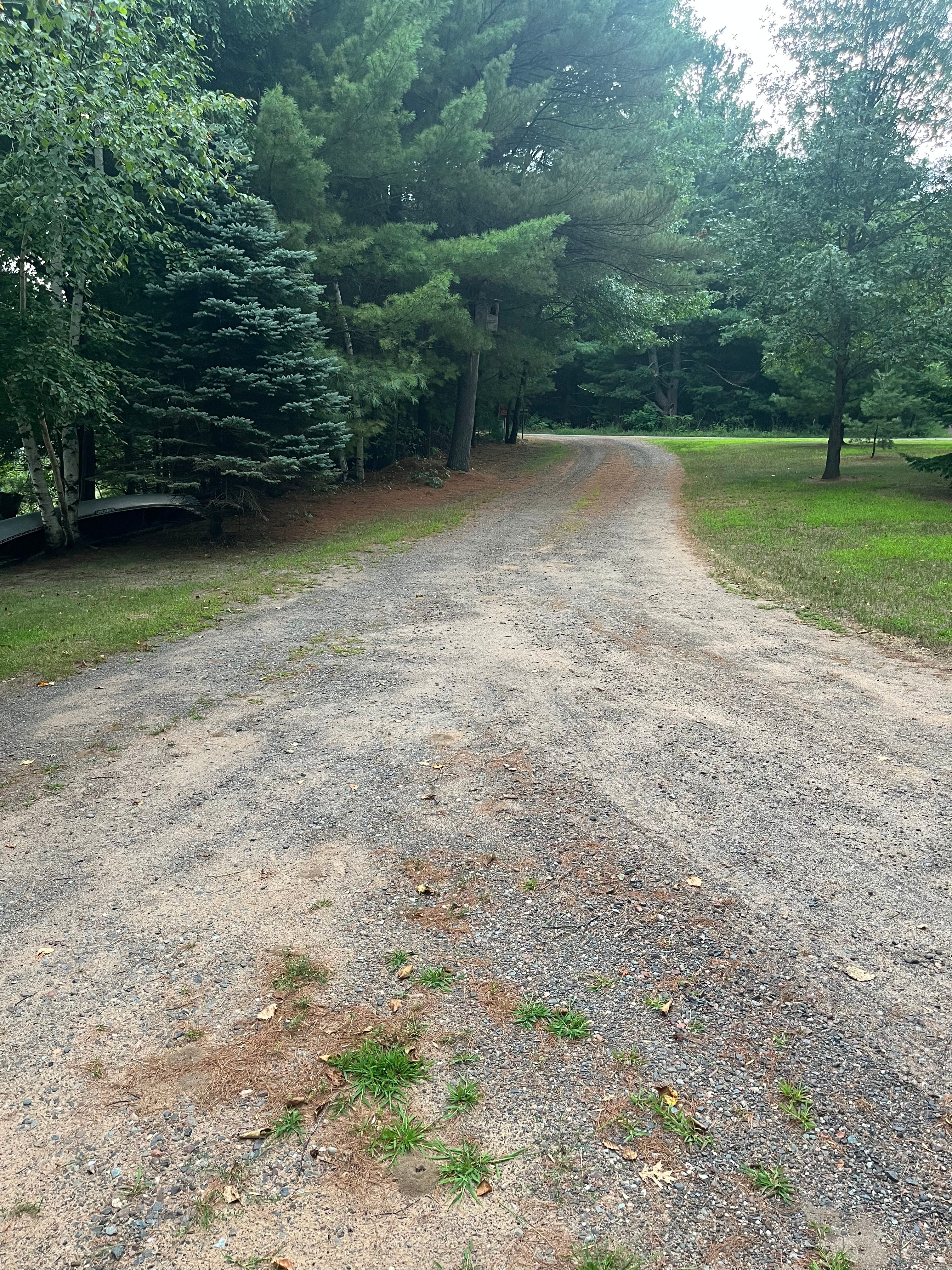 This is the view where you come in from Bertram Road to the campsite.  The picture is at the Y, if you will.  The right of the picture goes to our main driveway for our cabin and also splits to go to the first neighbor's cabin.