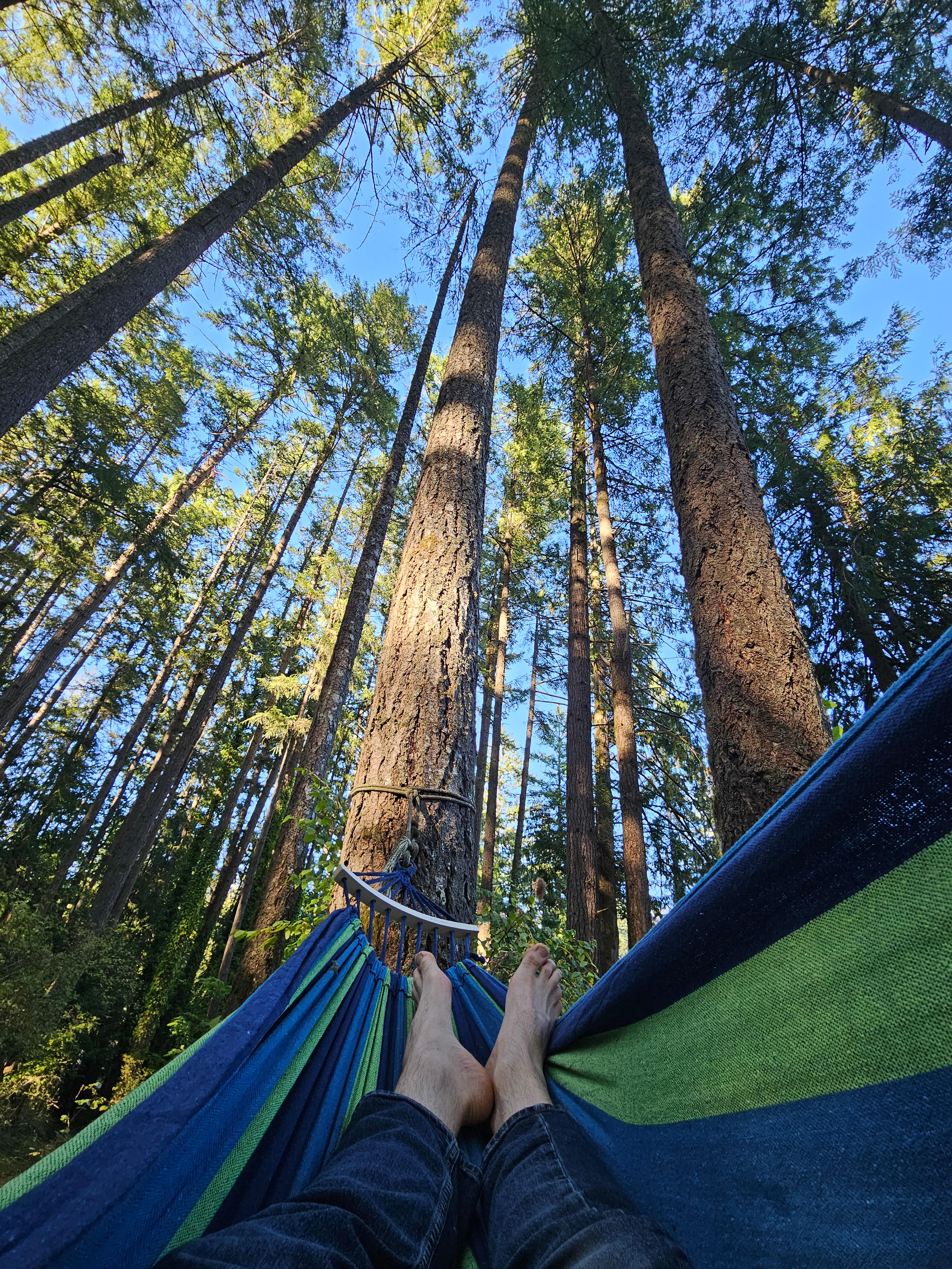 Relaxing in the hammock near the site