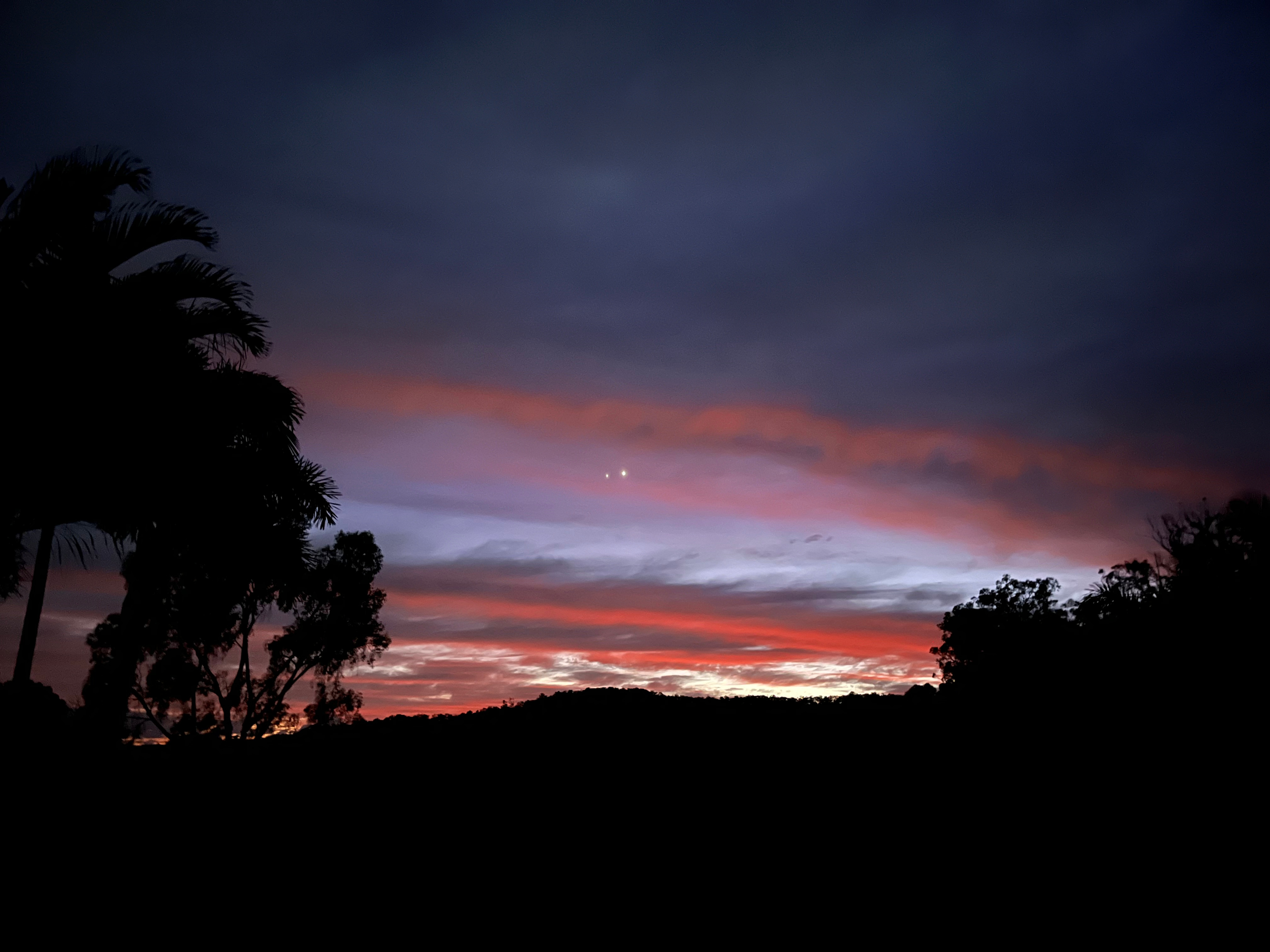 Wolvi Grove Avocado Farm Camping
