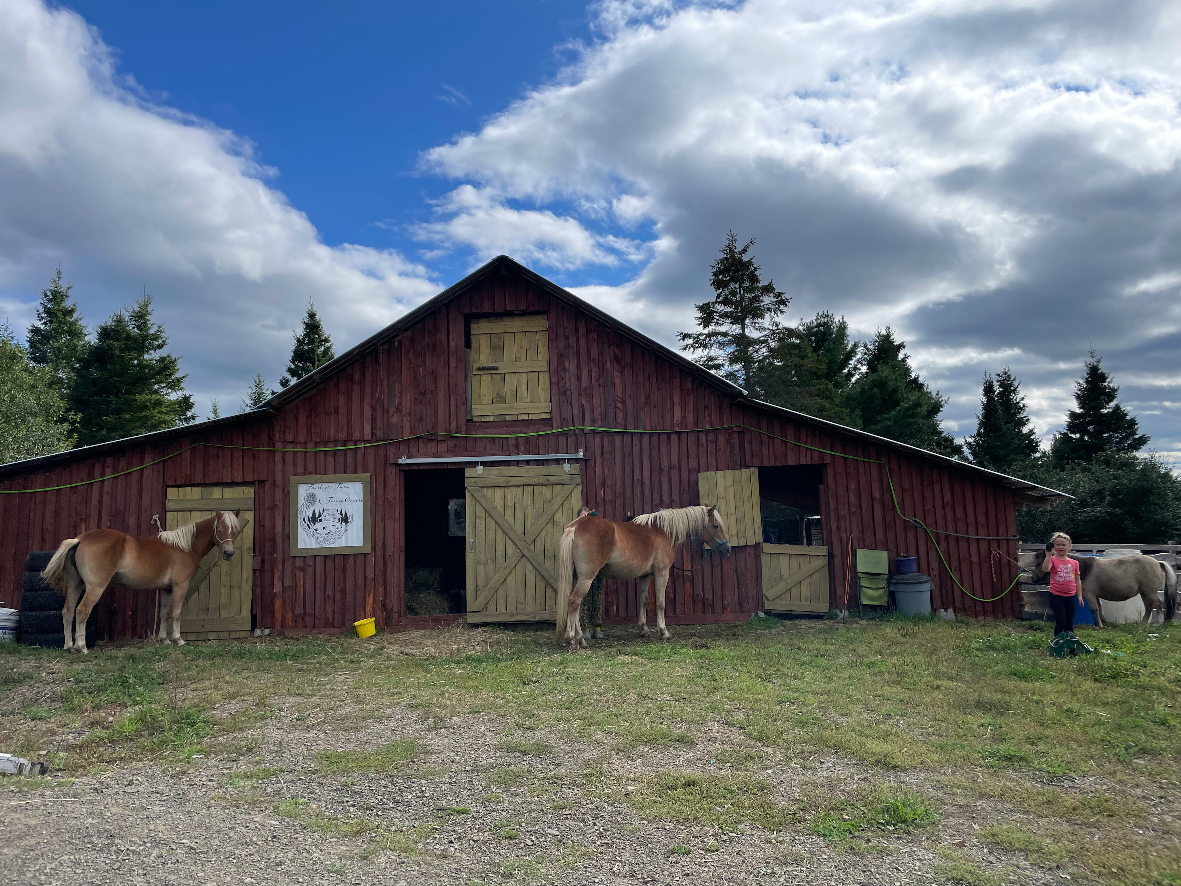 Fairlight Farm & Forest Centre