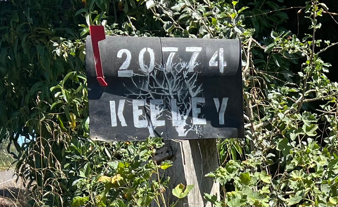 Cedar Hollow