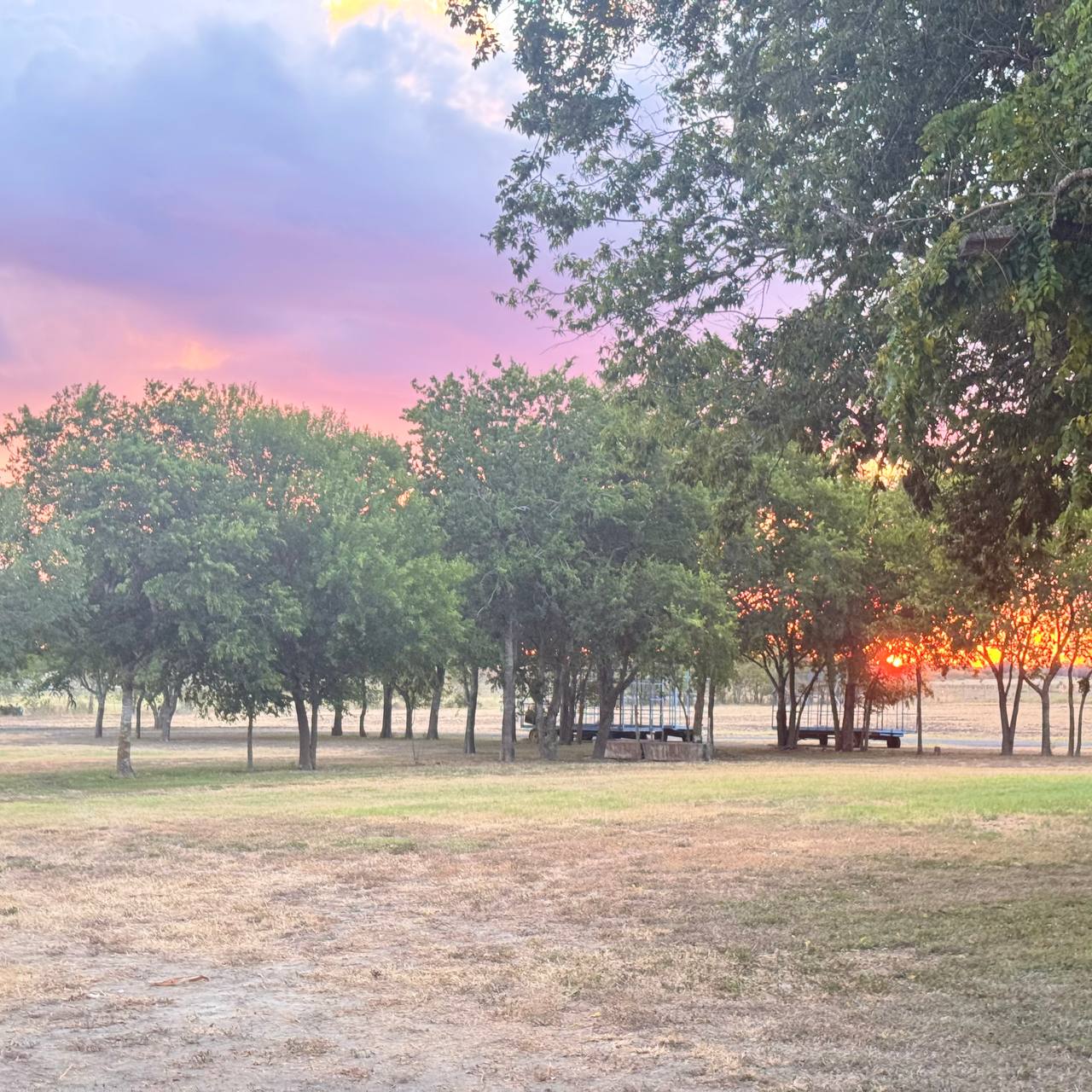 ZTX Ranch