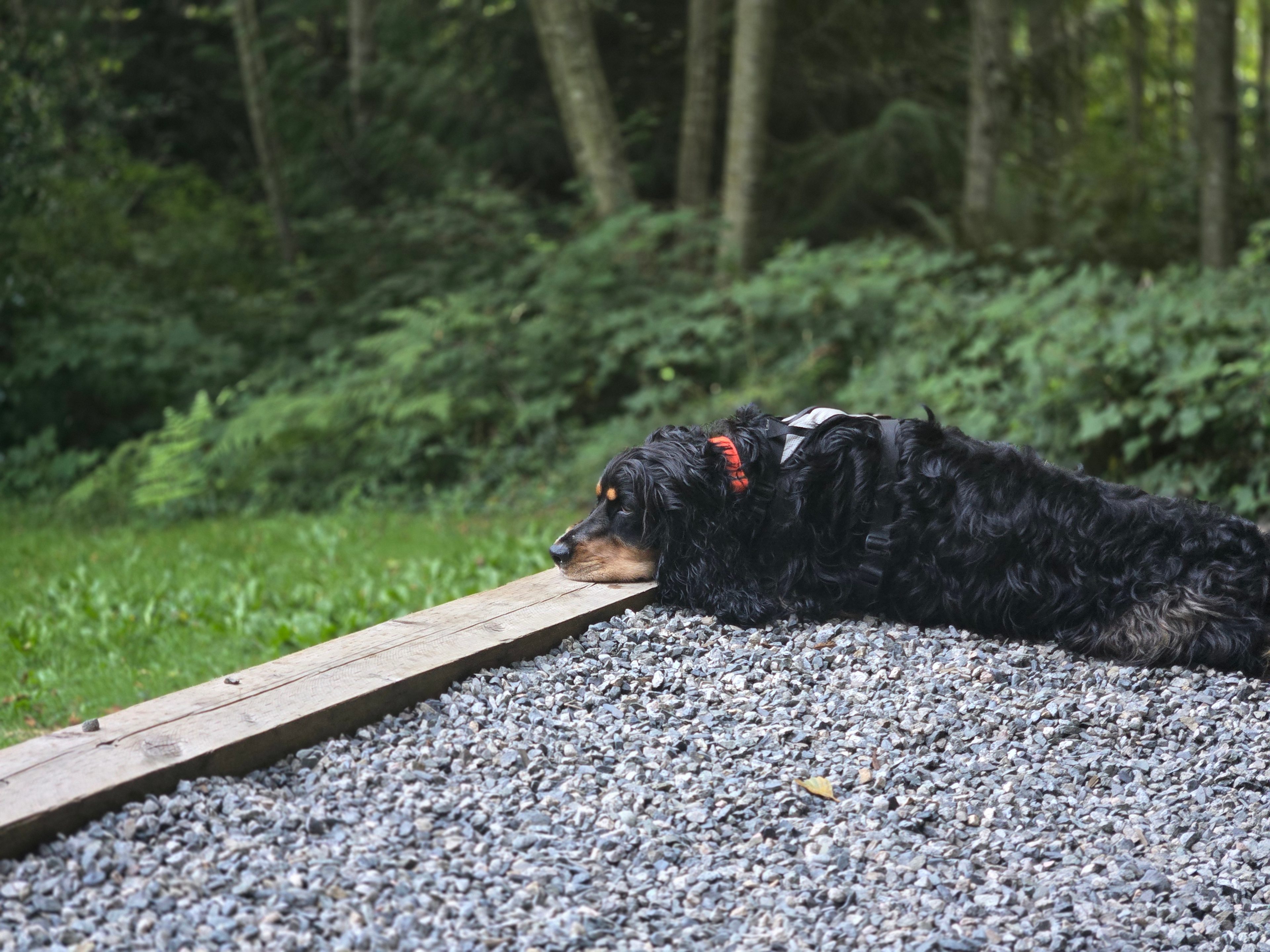 Coastline Wanderer Getaway