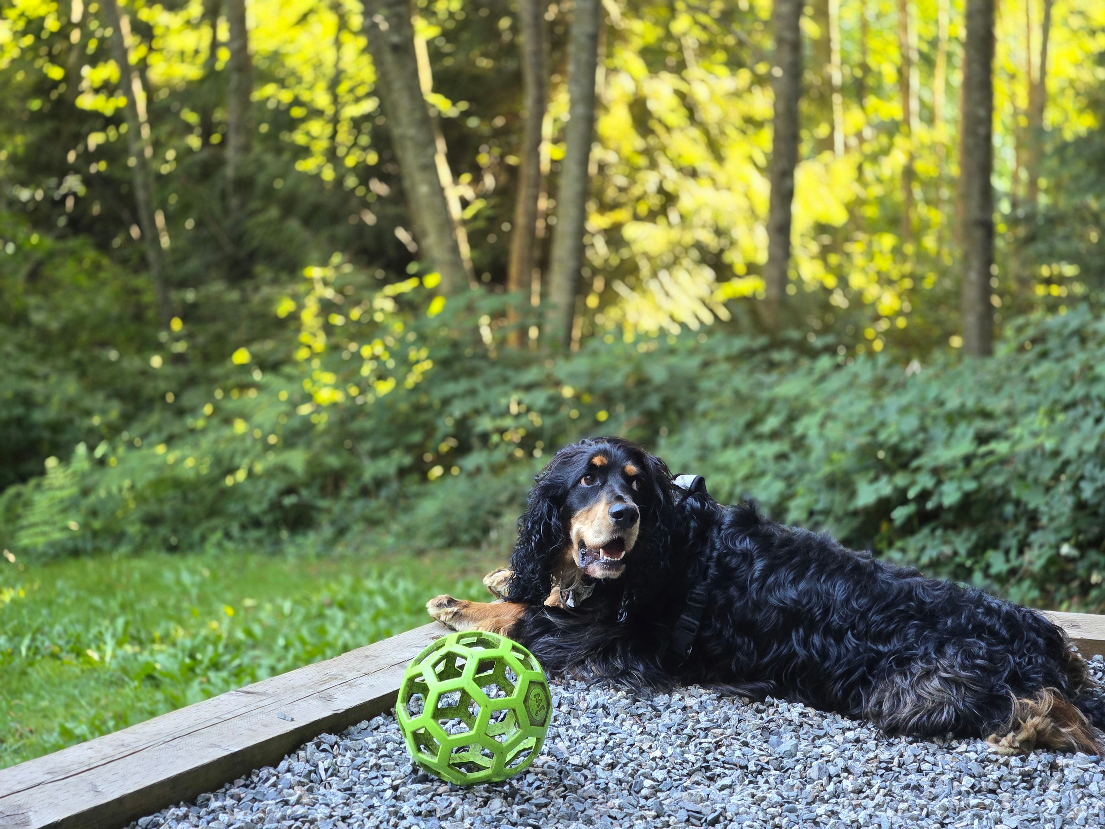 Coastline Wanderer Getaway