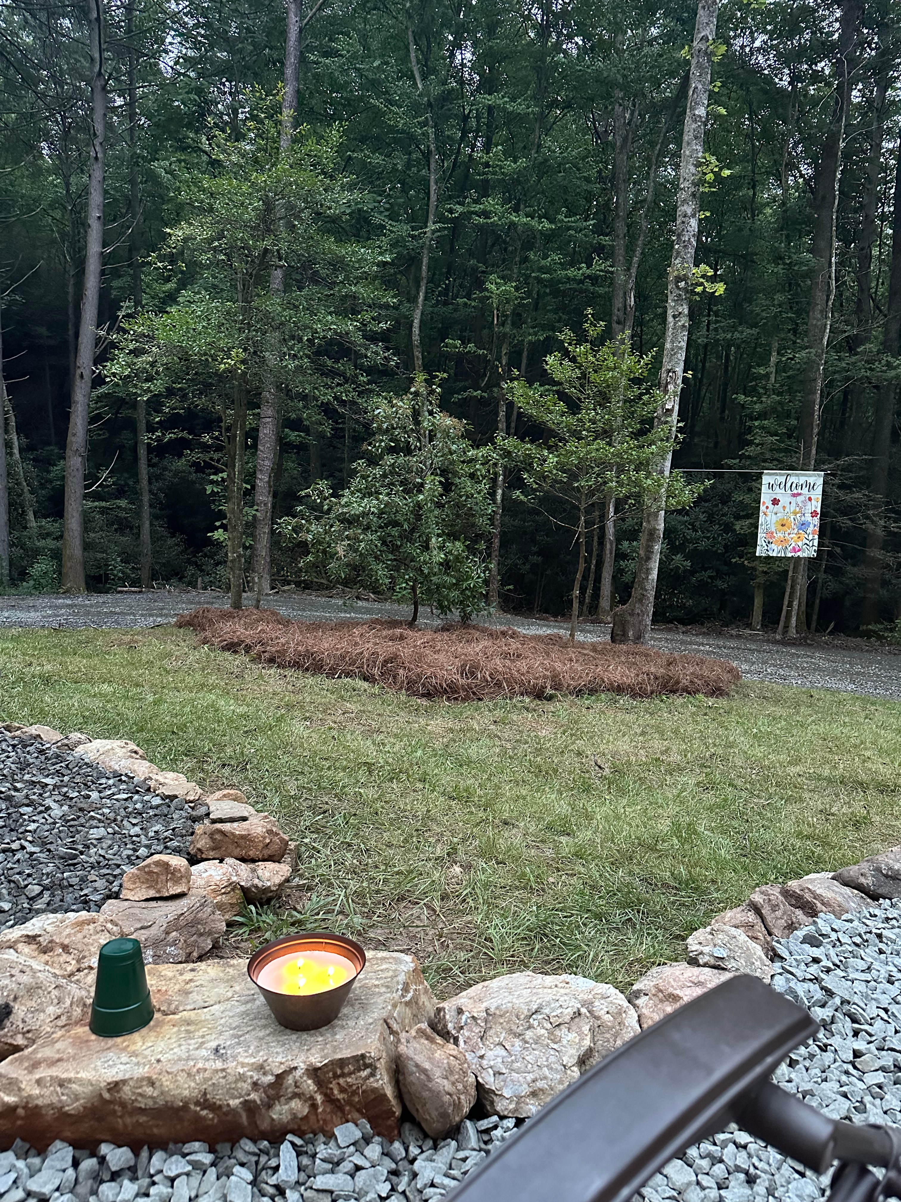 Deer Trails at Stone Mountain