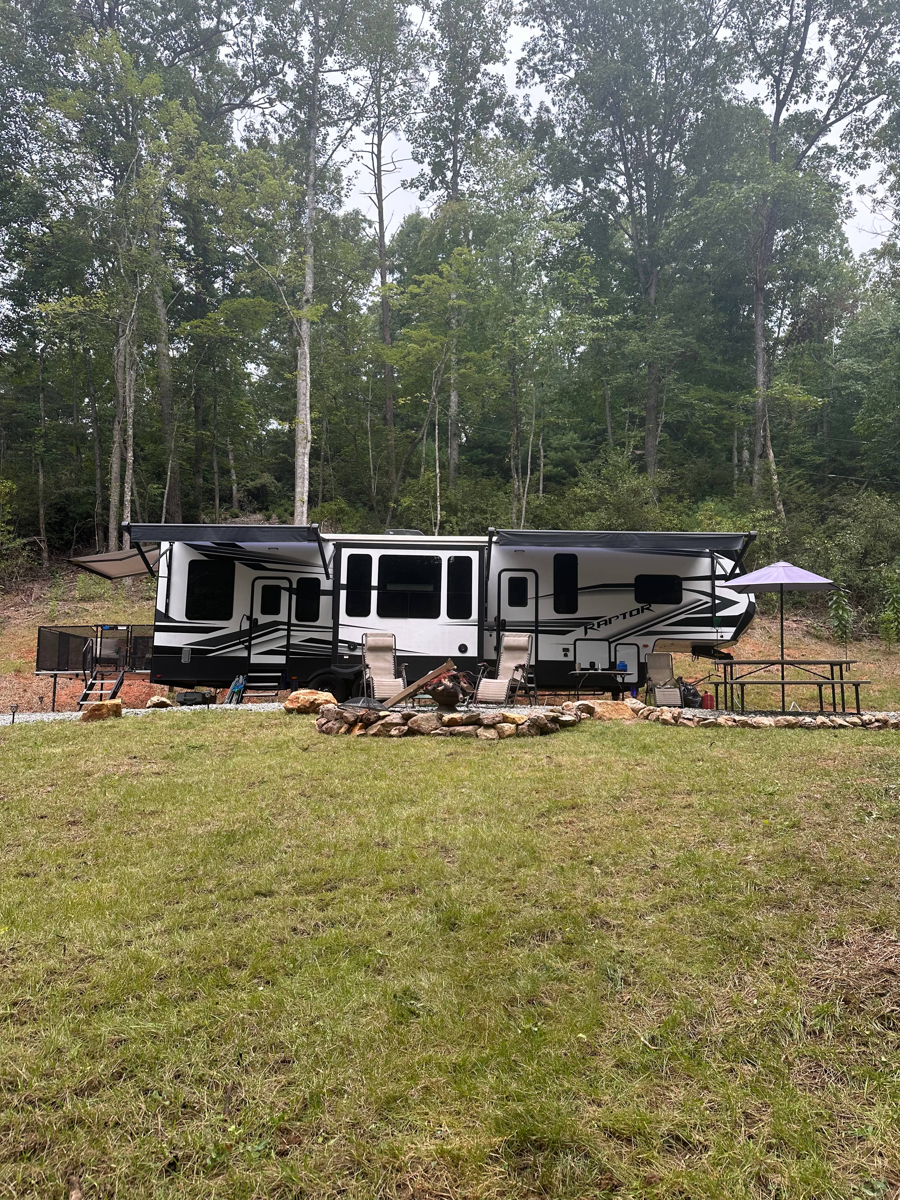 Deer Trails at Stone Mountain
