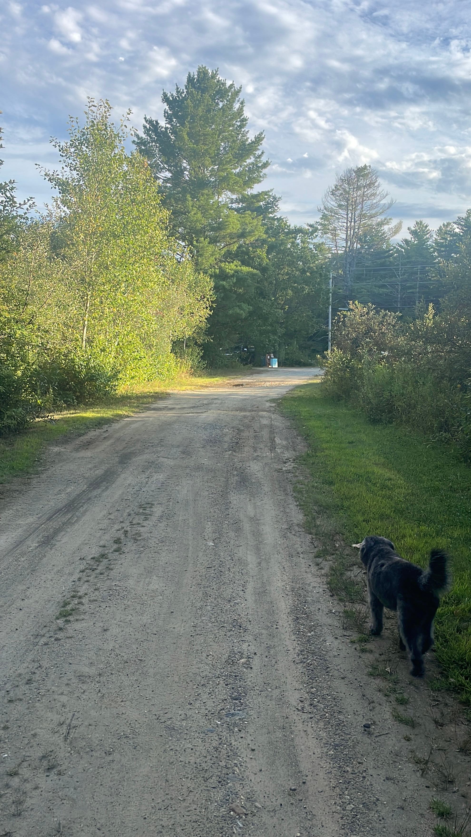 Peary’s Community Garden