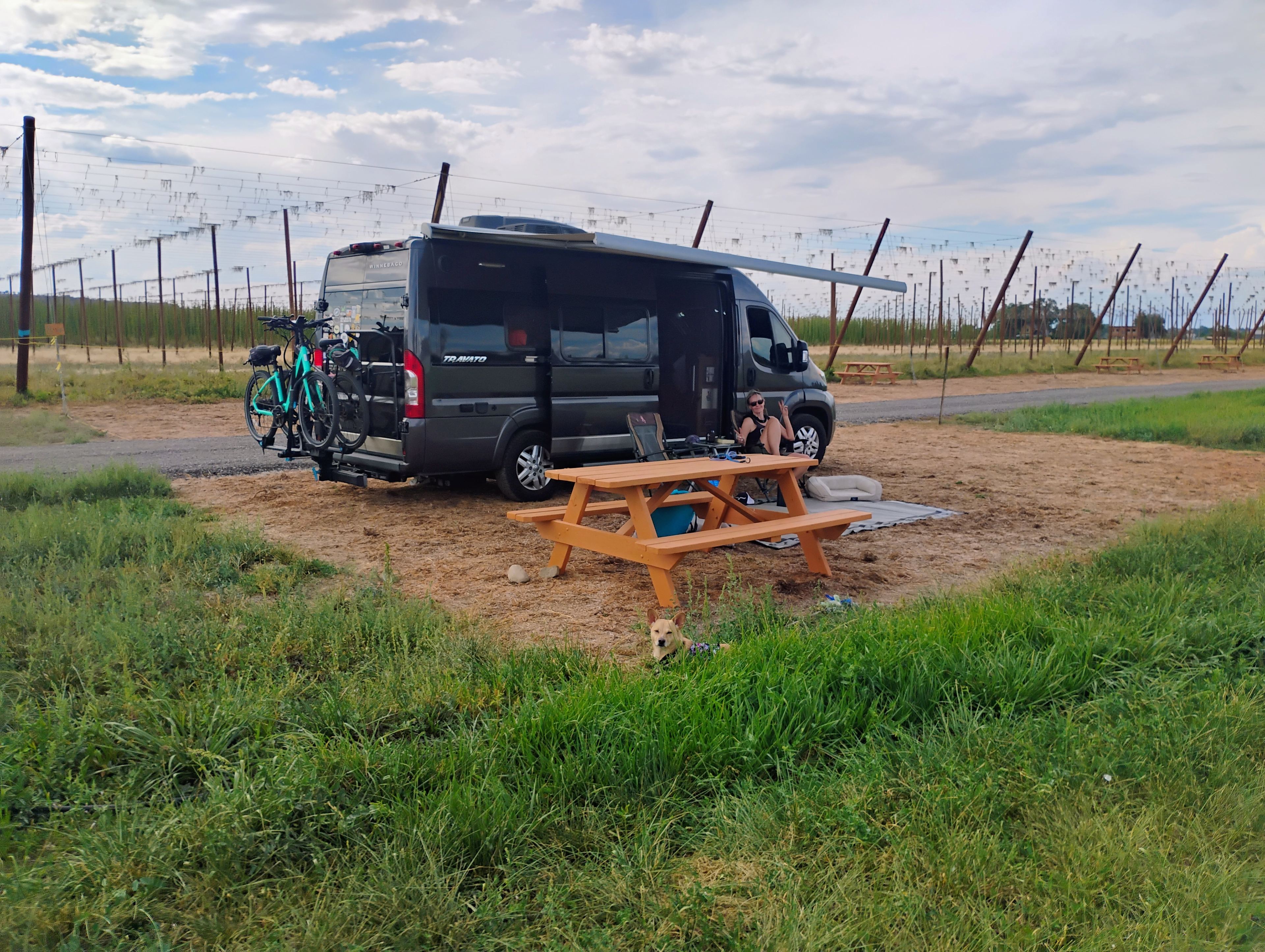 Down at the Hop Yard Camping