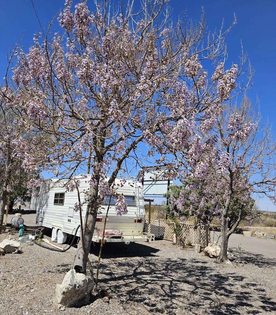 Arrey Of Sunshine RV Park