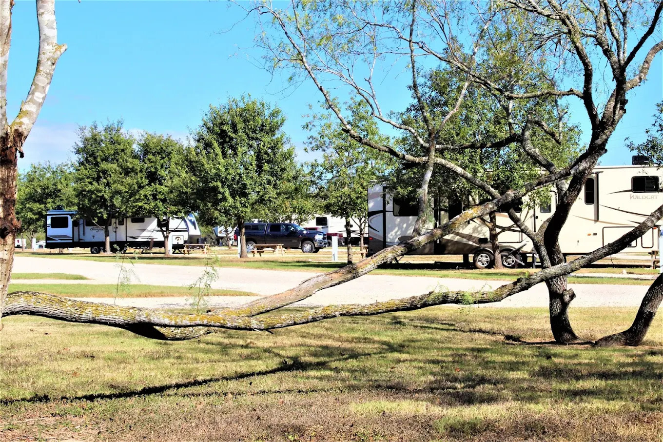 Patriot RV Park - Gonzales