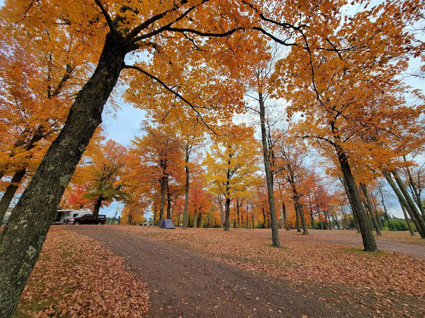 Curry Park Campground