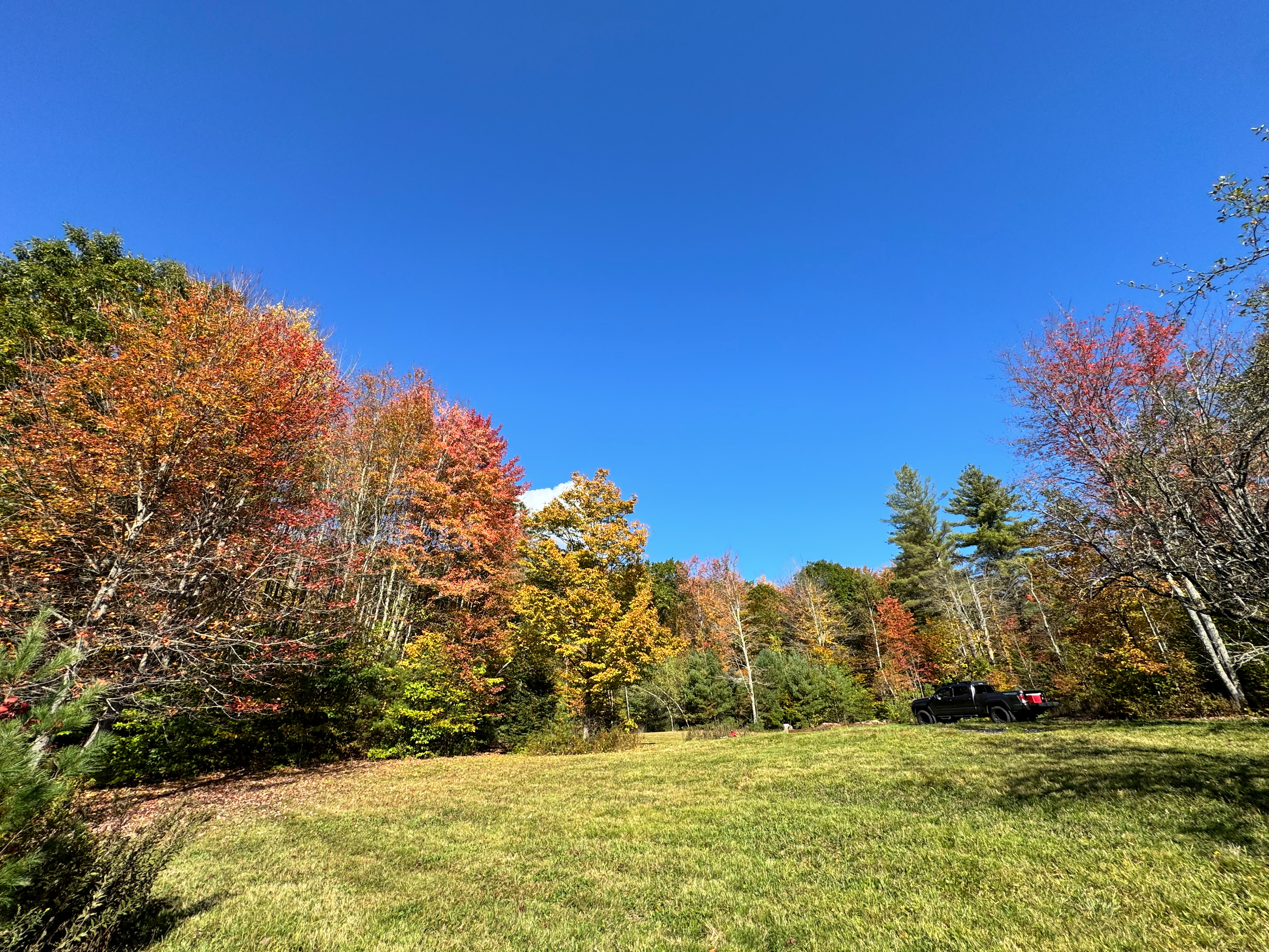 Ample space to choose from — find your favorite spot, and set up camp!