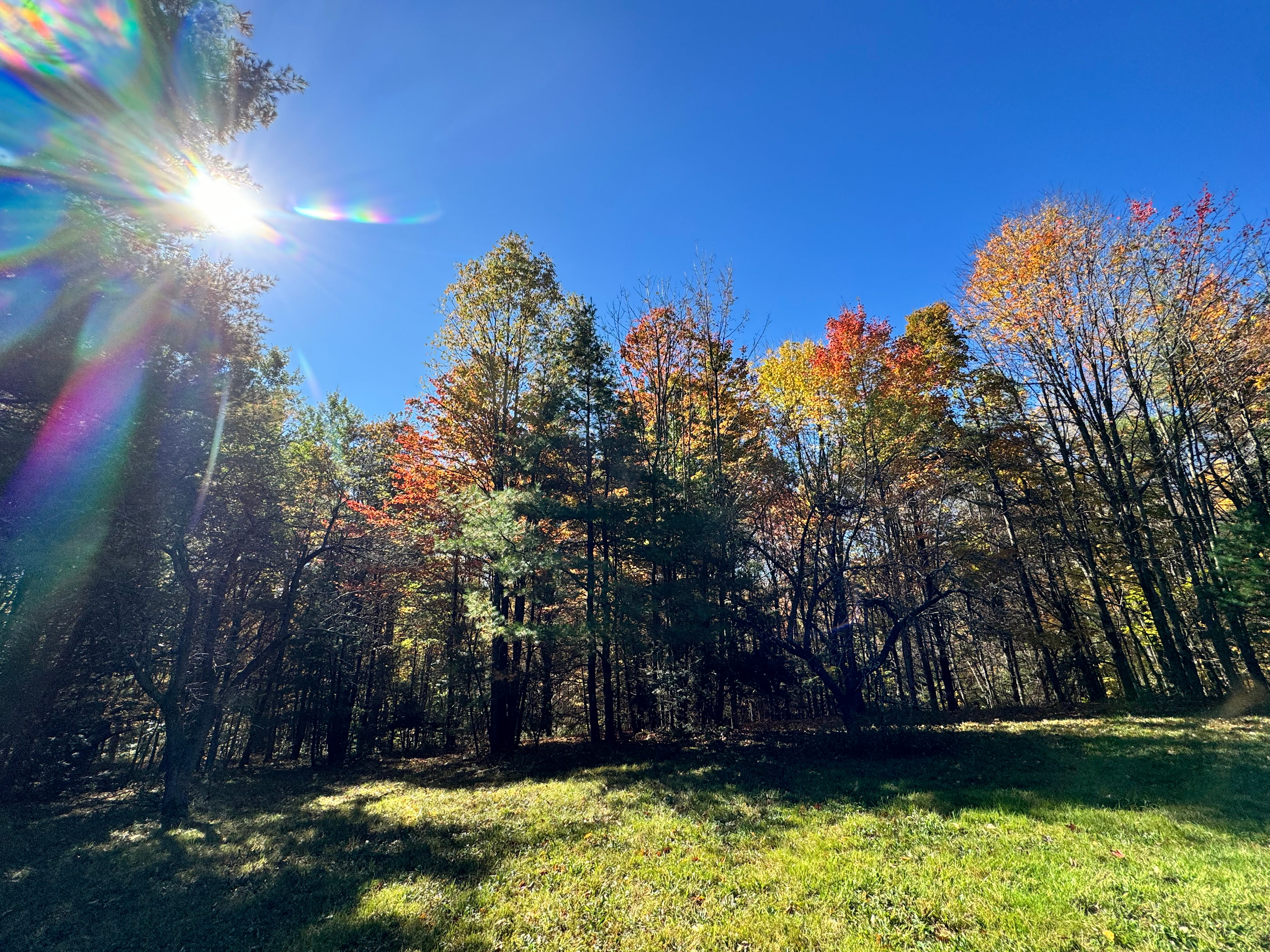 Ballou Mountain Base Camp