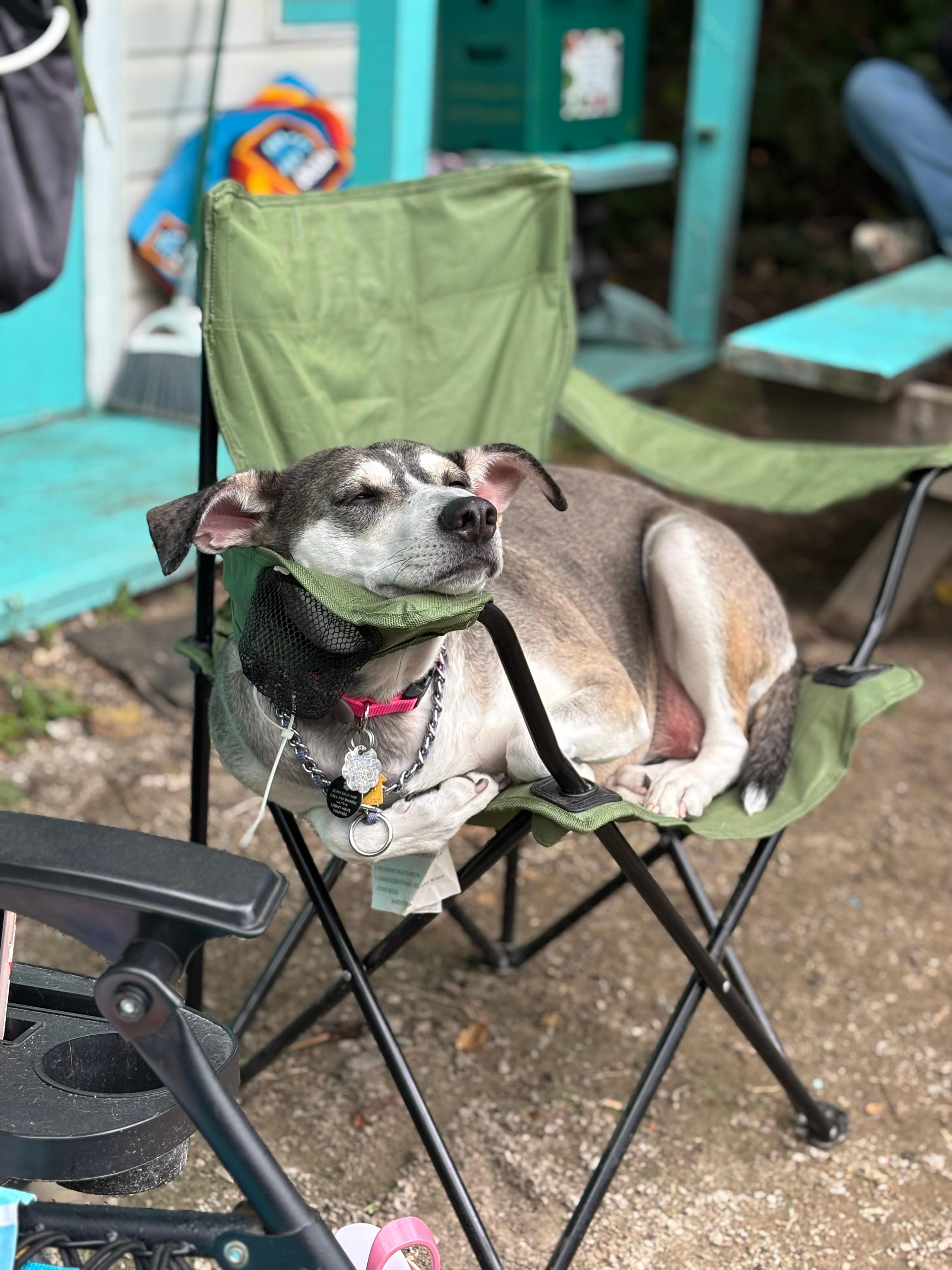 Tiny Love Shack Off Grid Glamping
