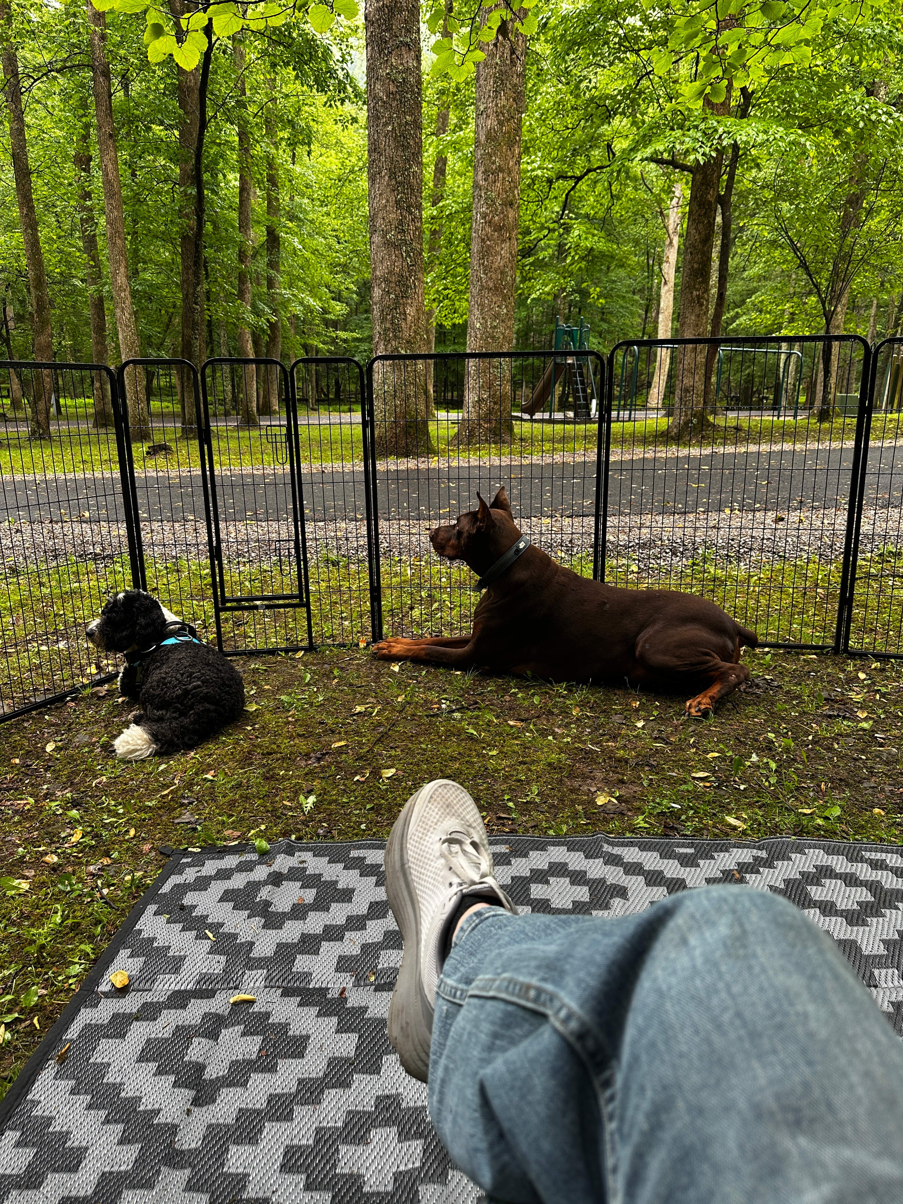 Holly River State Park