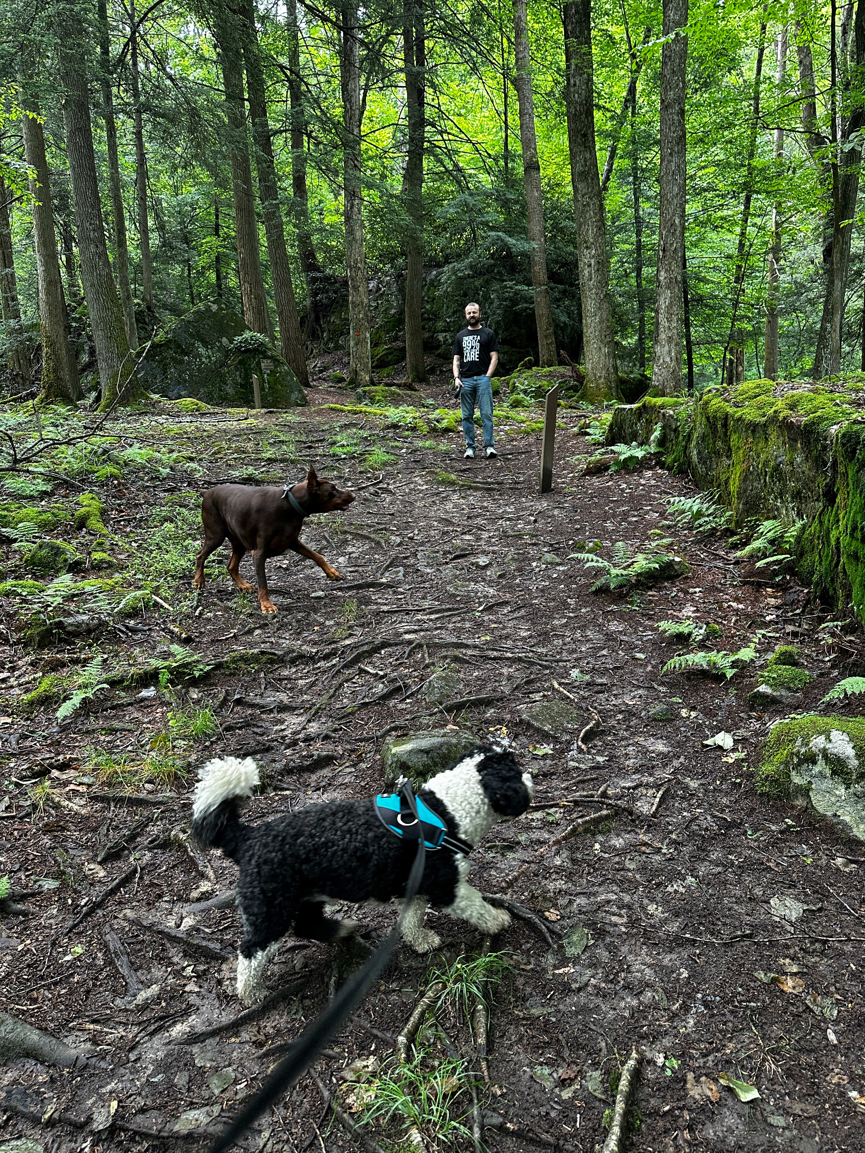 Holly River Campground