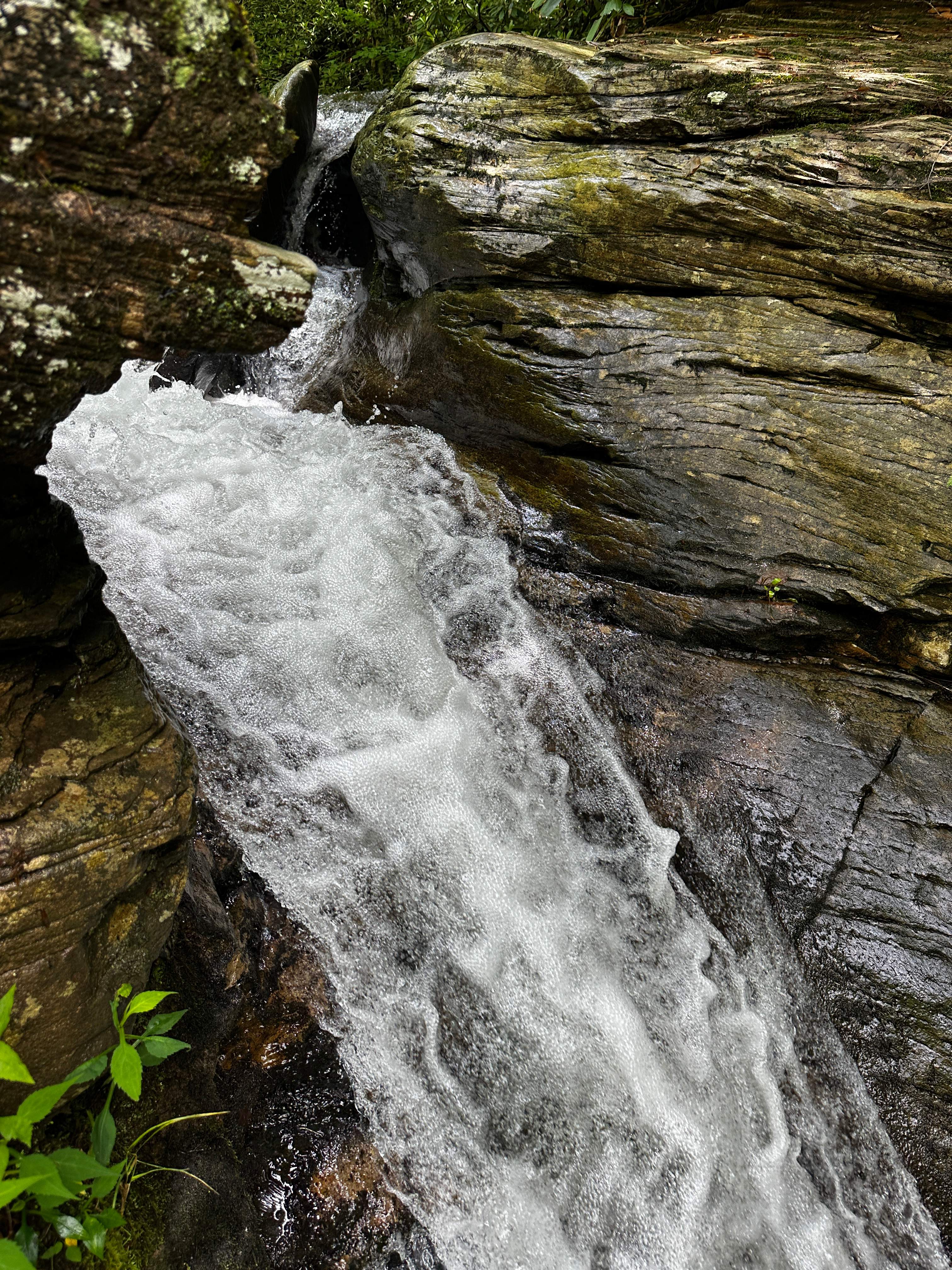 Holly River State Park