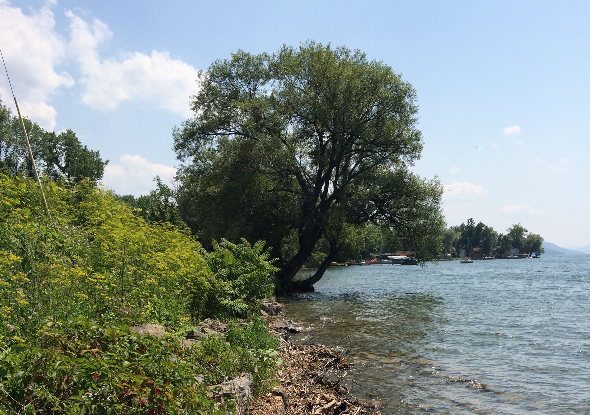 Ontario County Gannett Hill Park