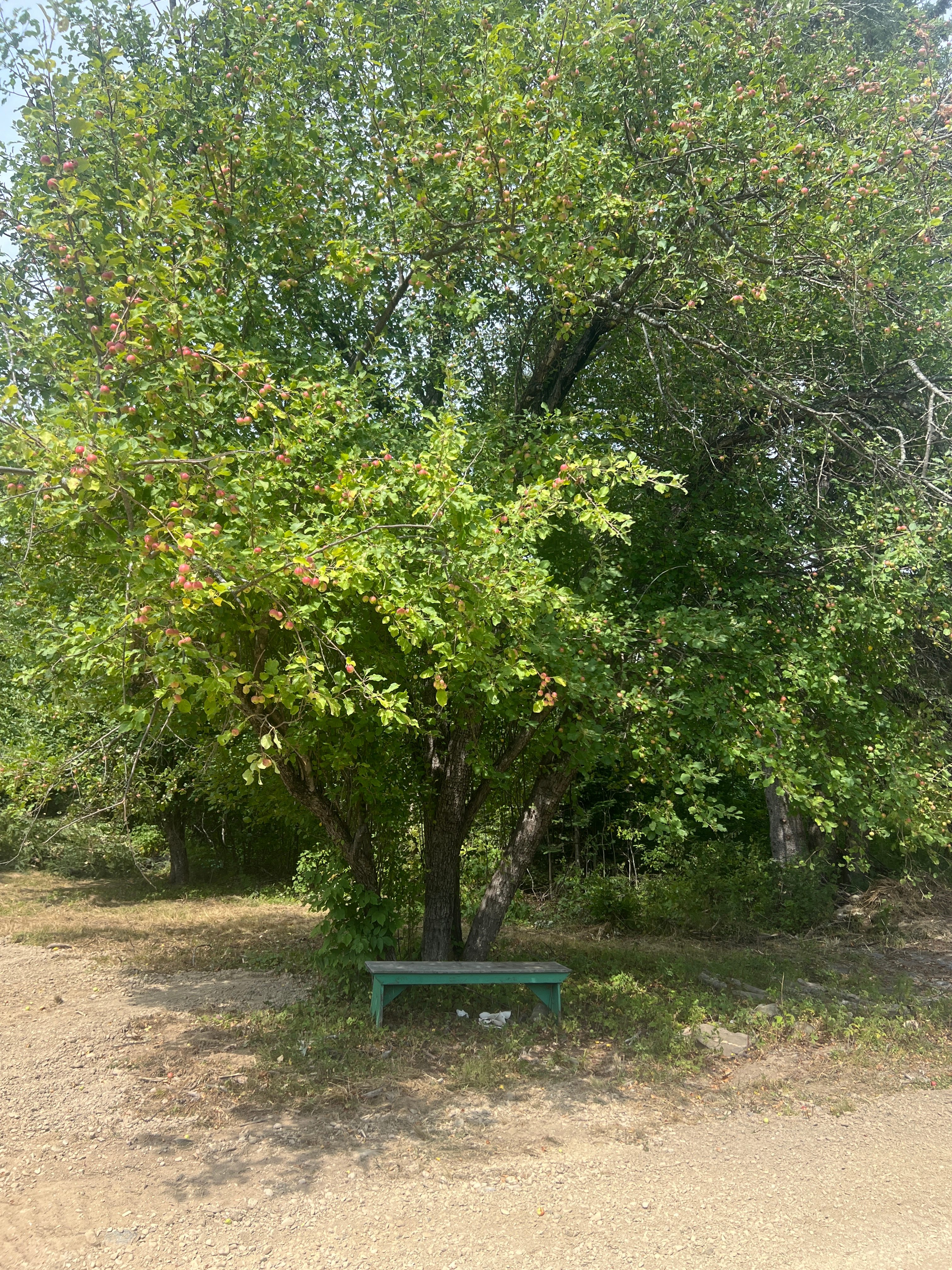 Simple Convenient Camping