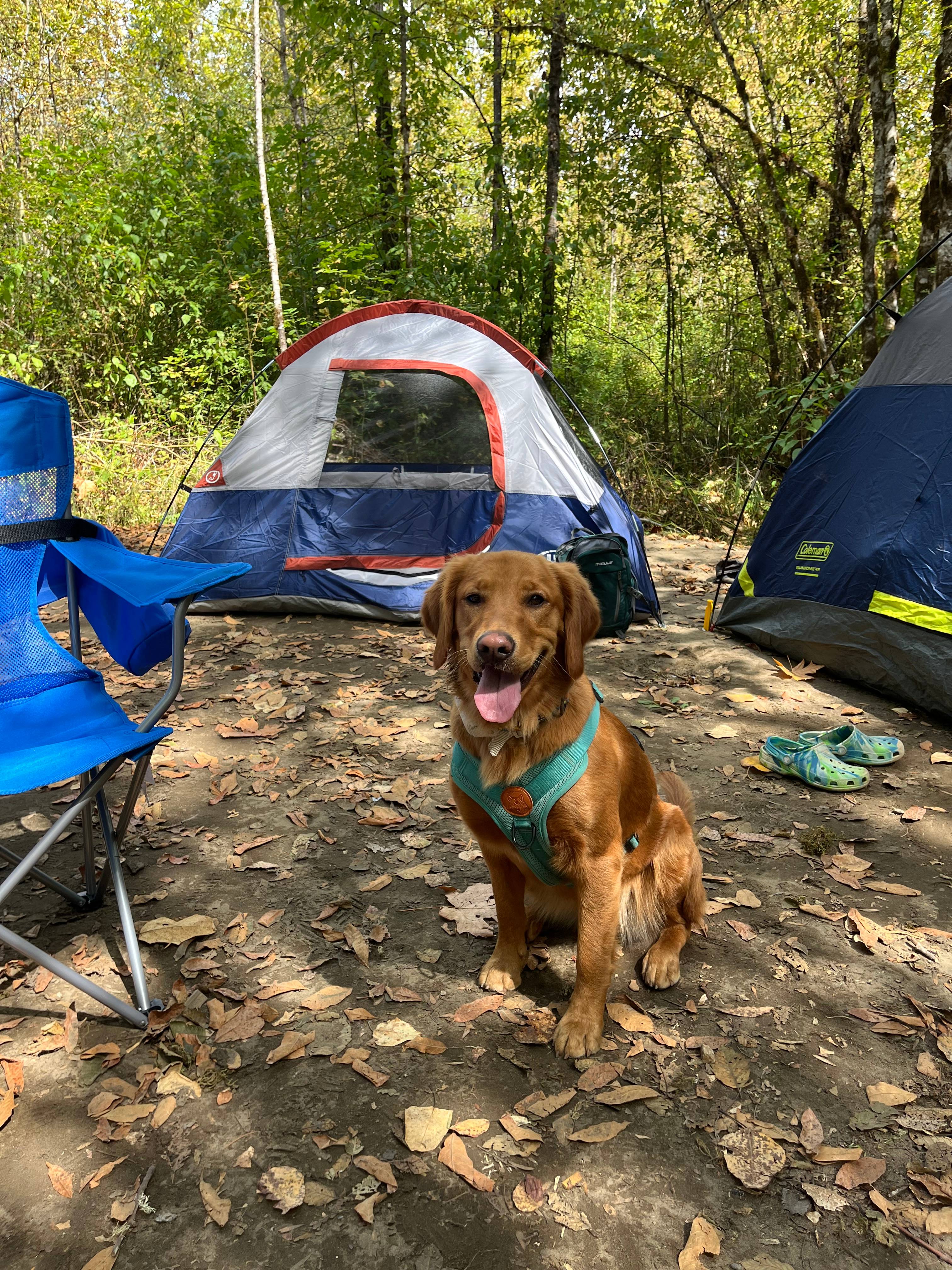 Cowlitz River Campground