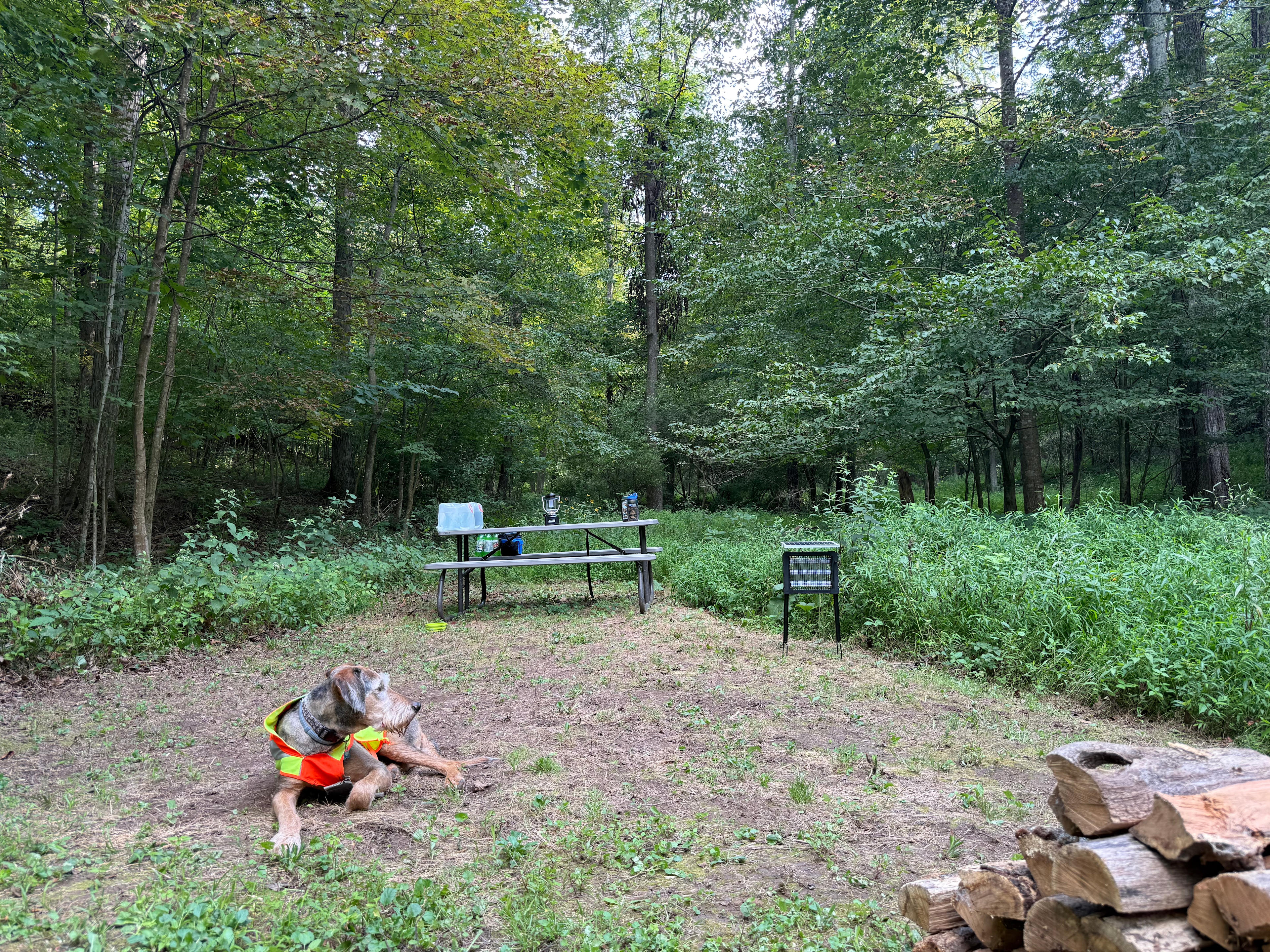 Wilson’s Boondock Hollow