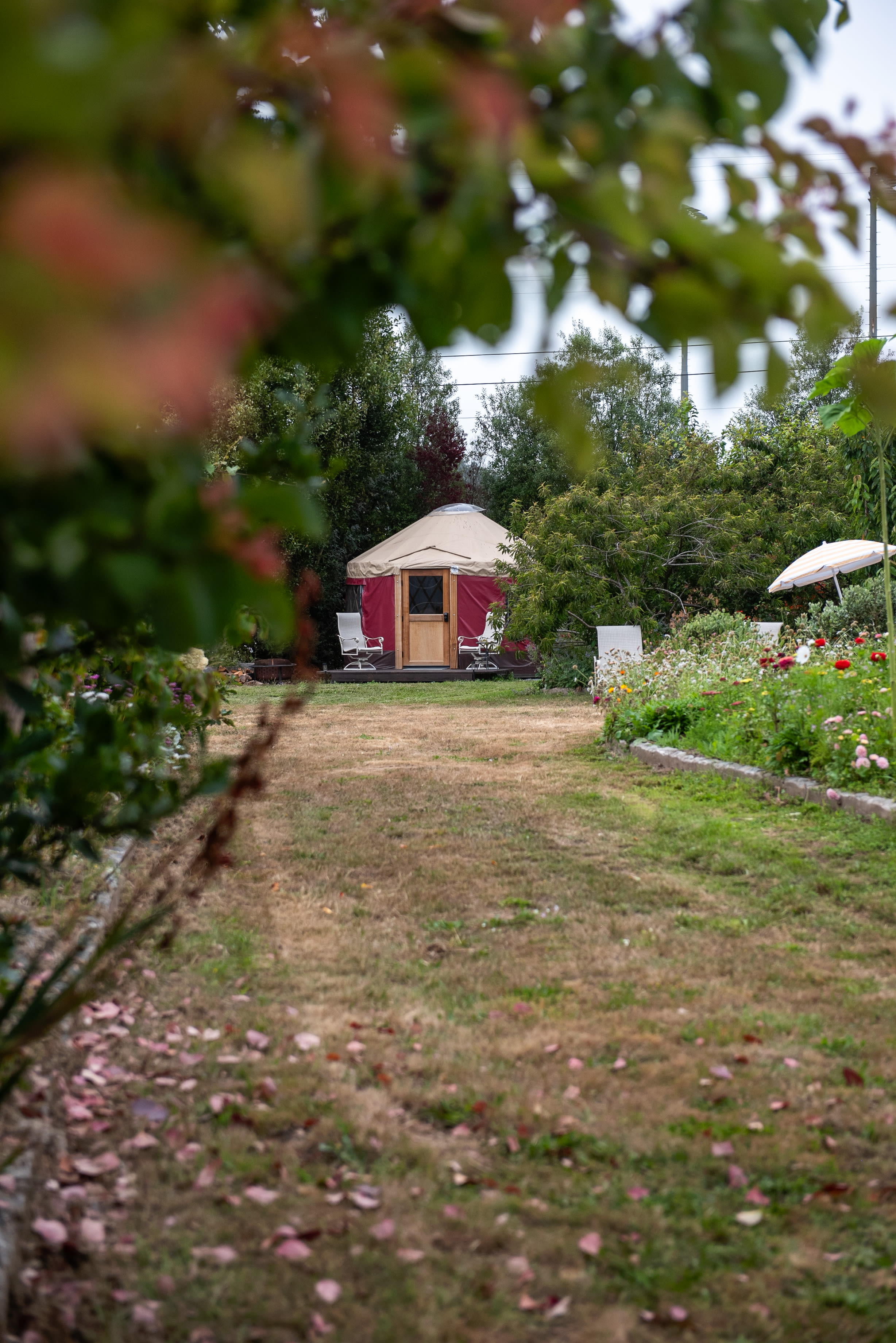 Good Things Farm Yurt, flower farm
