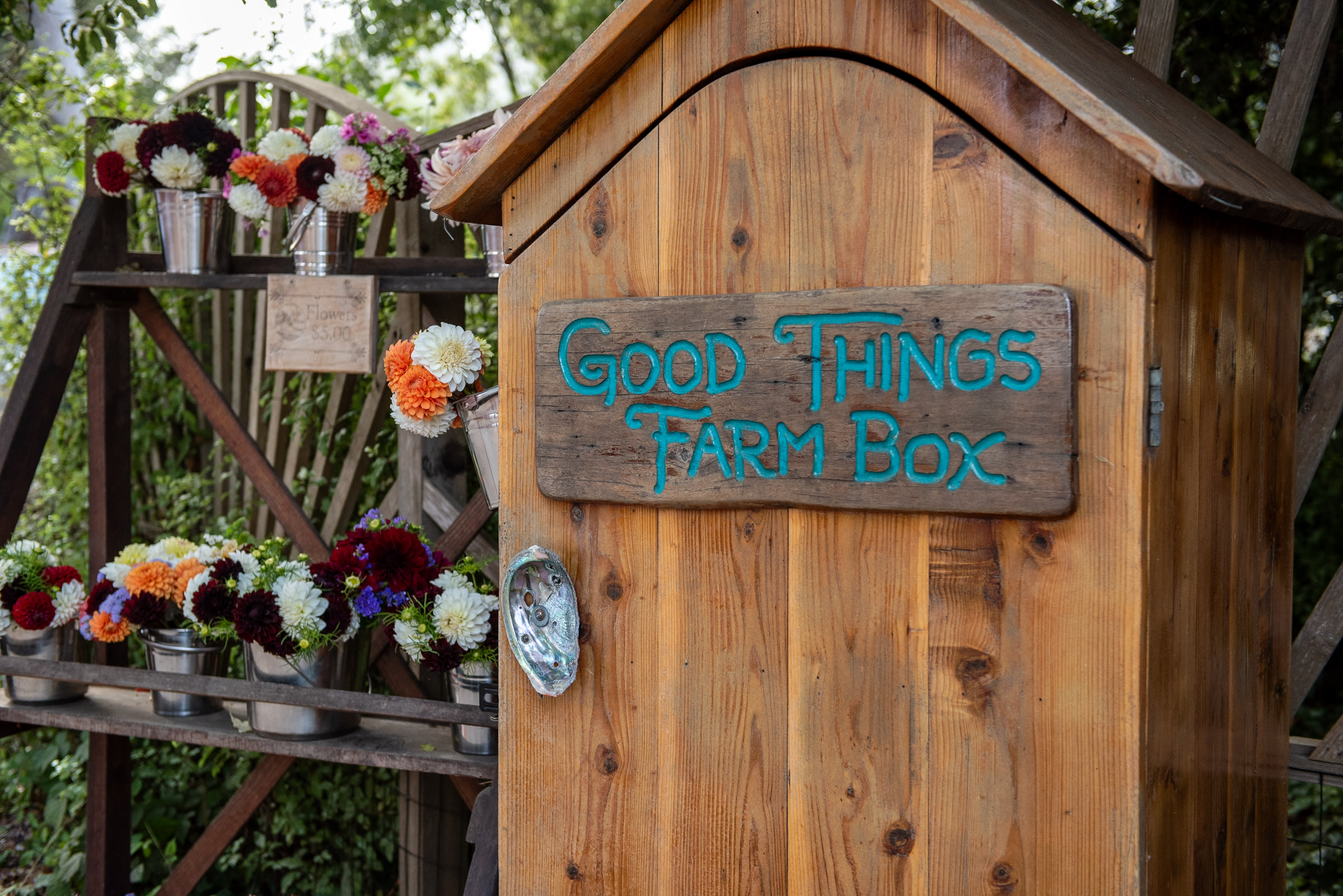 Good Things Farm Yurt, flower farm
