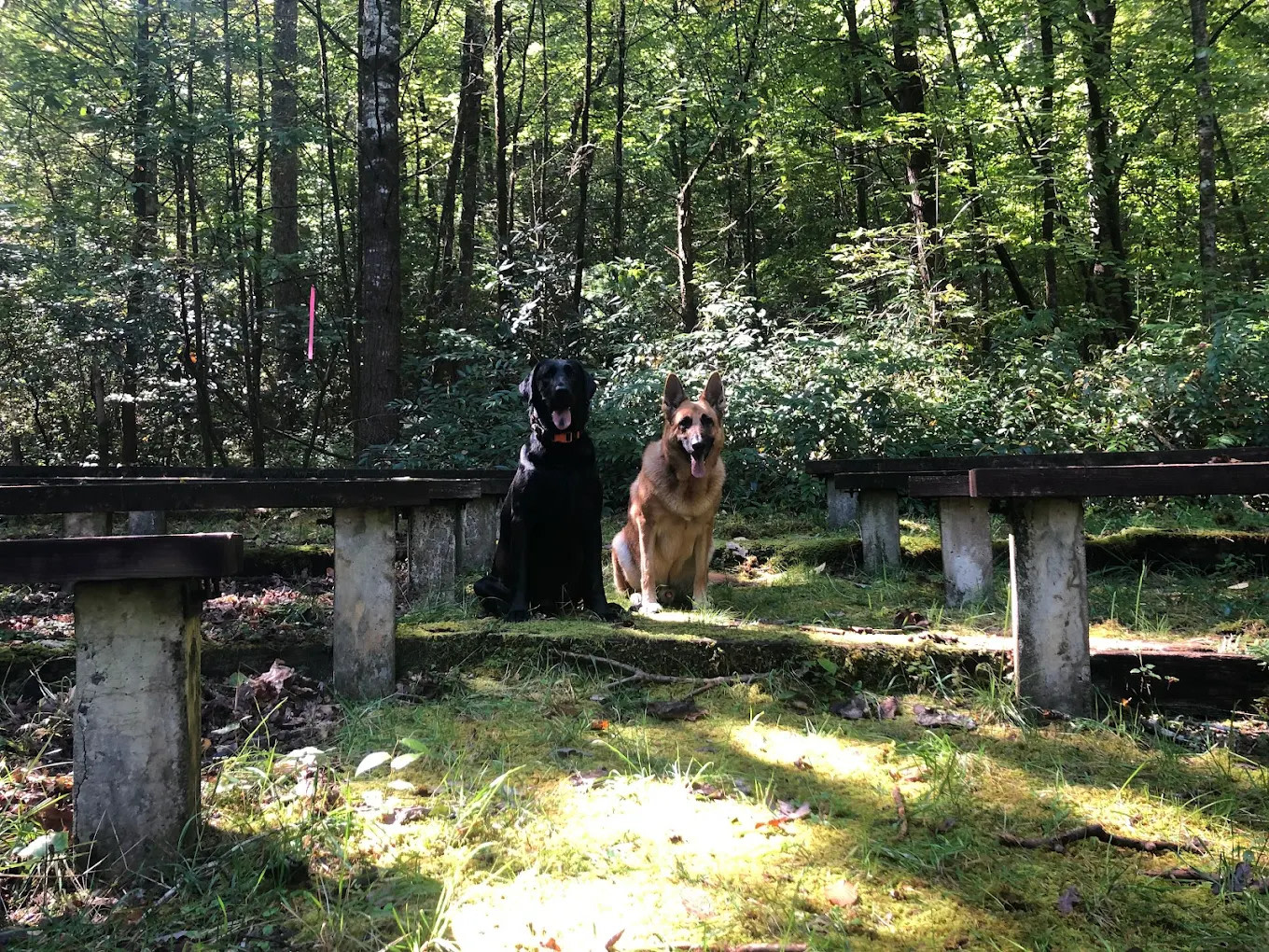 Cove Creek Group Campground