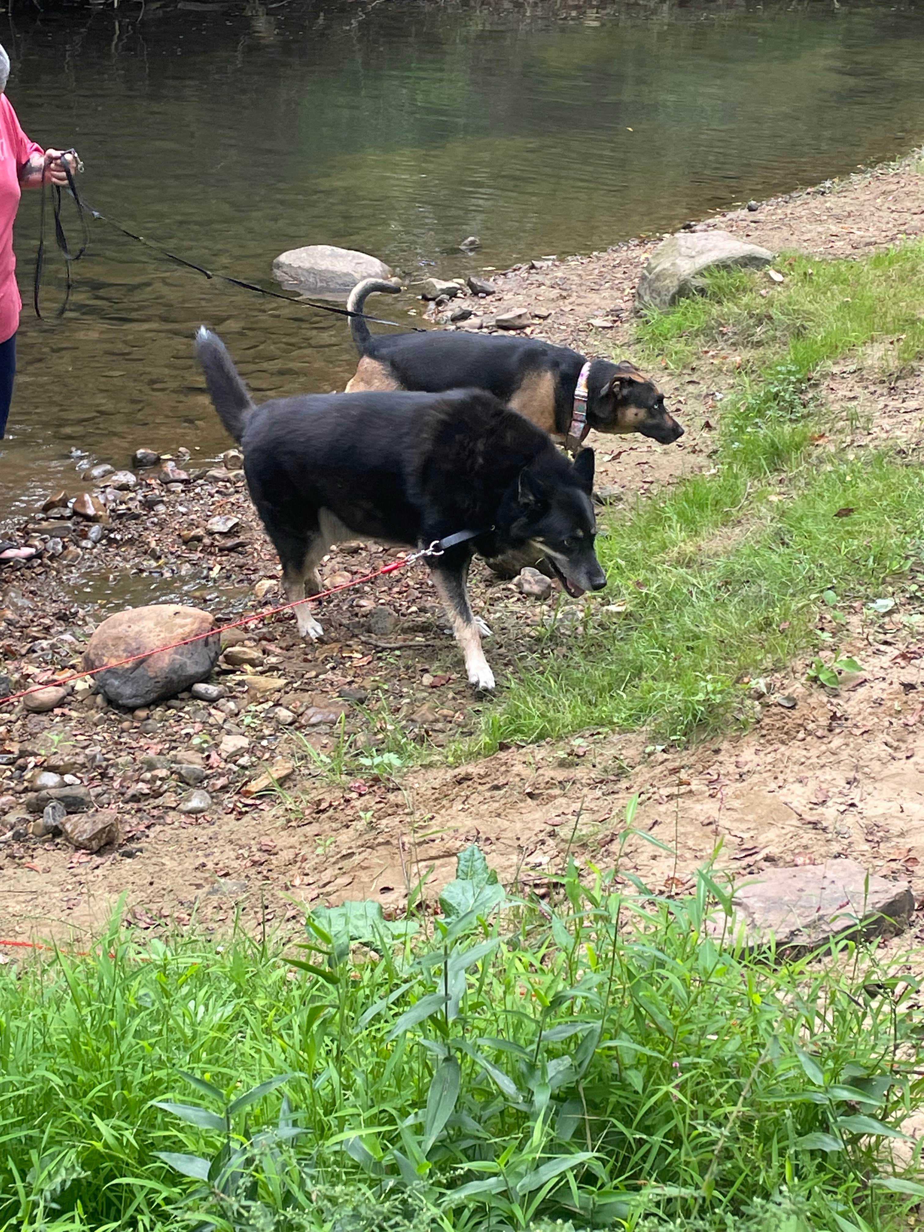 Stoney Run Primitive Tent Camping