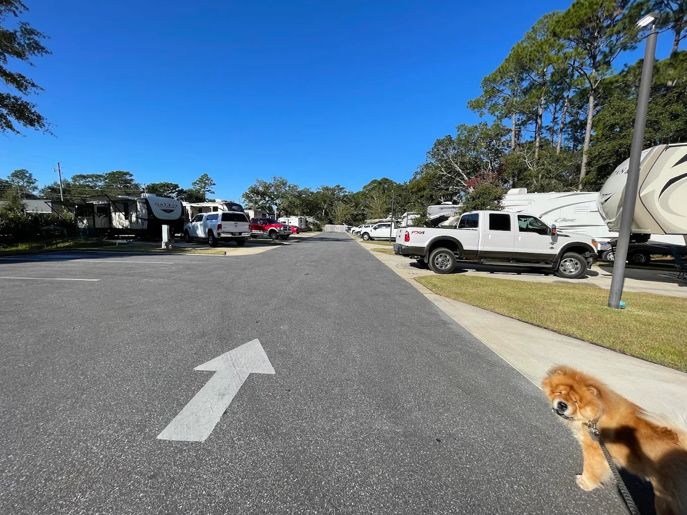 A Cozy Corner RV Lodge