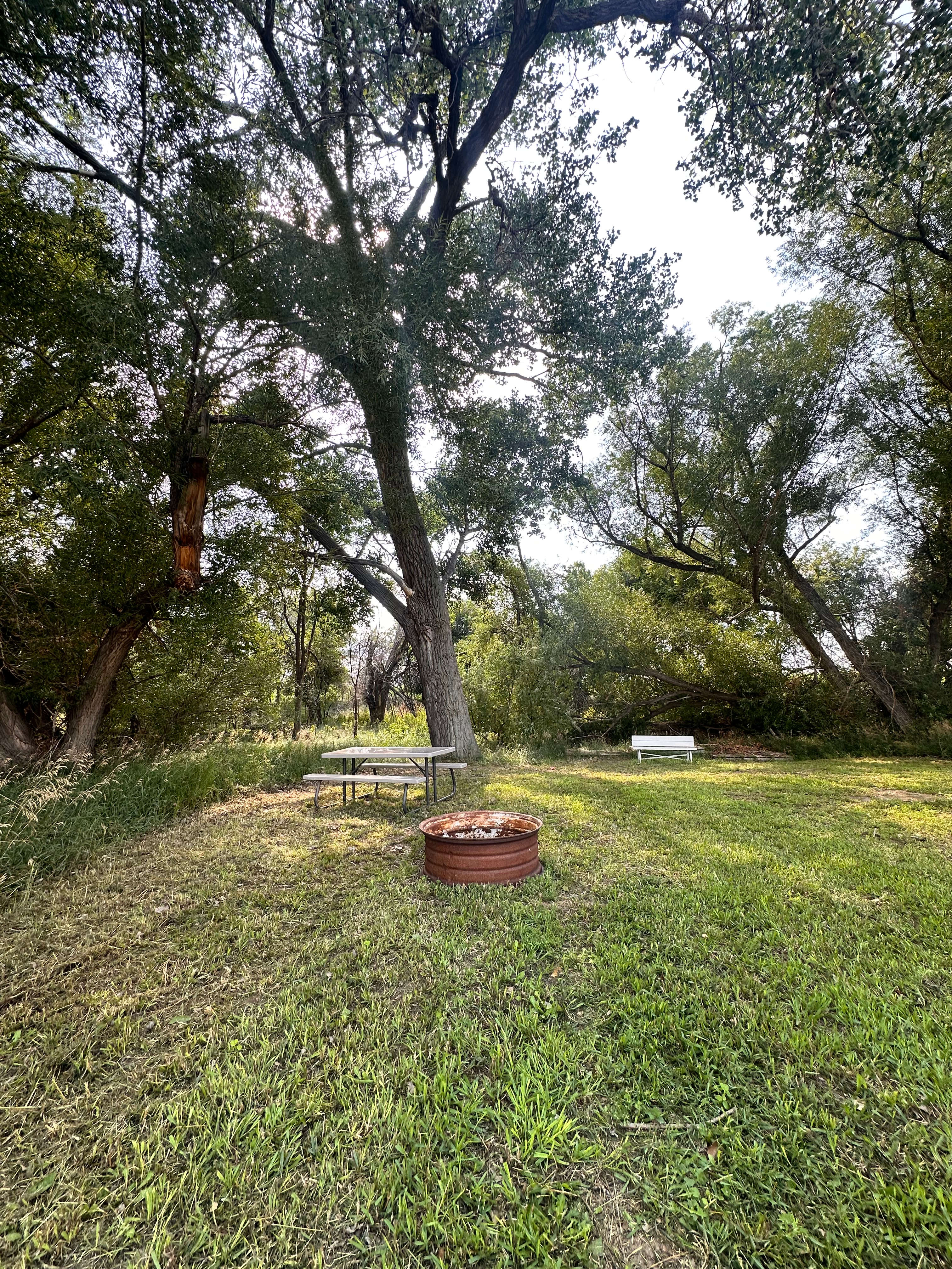 Wildhorse Creek At BE Farm