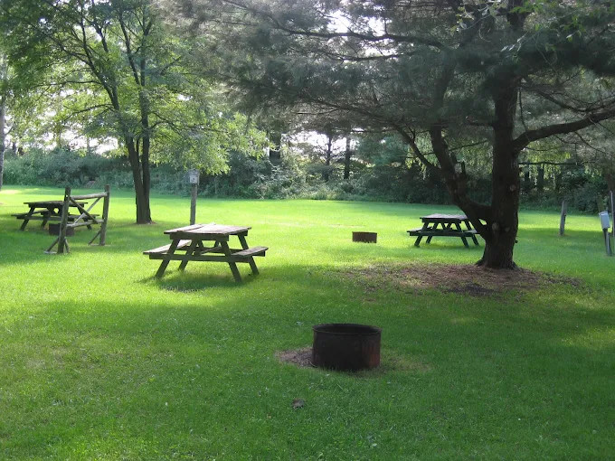 Monty's Bay Campsites