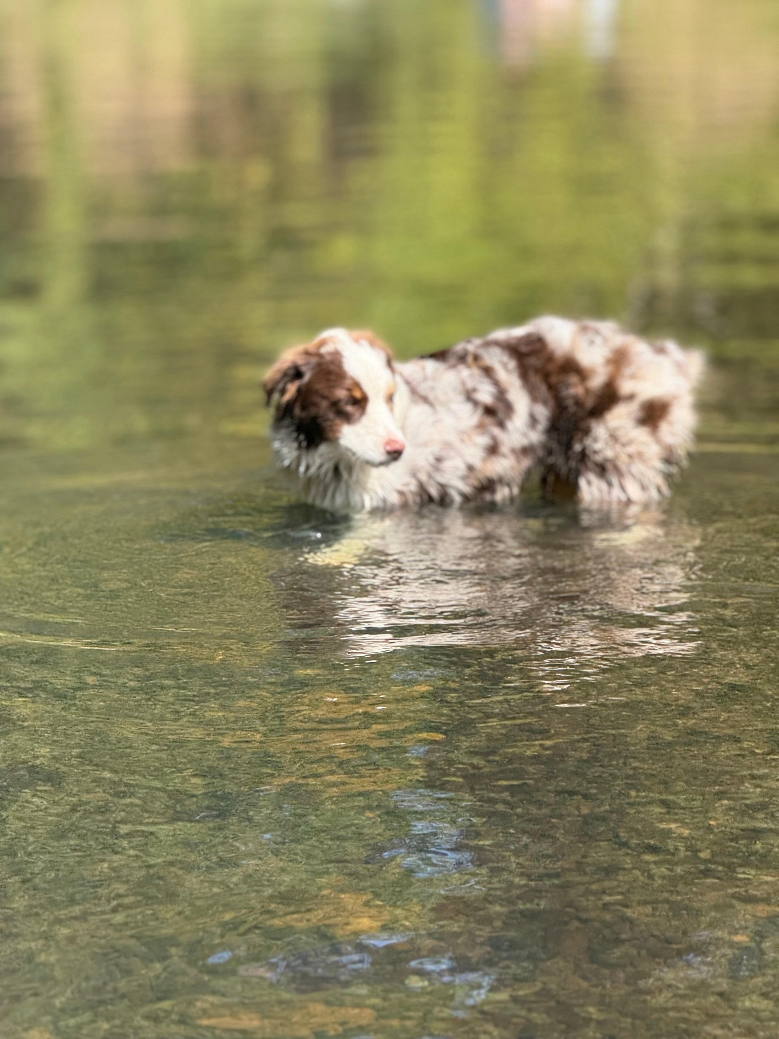 Wild Roots River Oasis