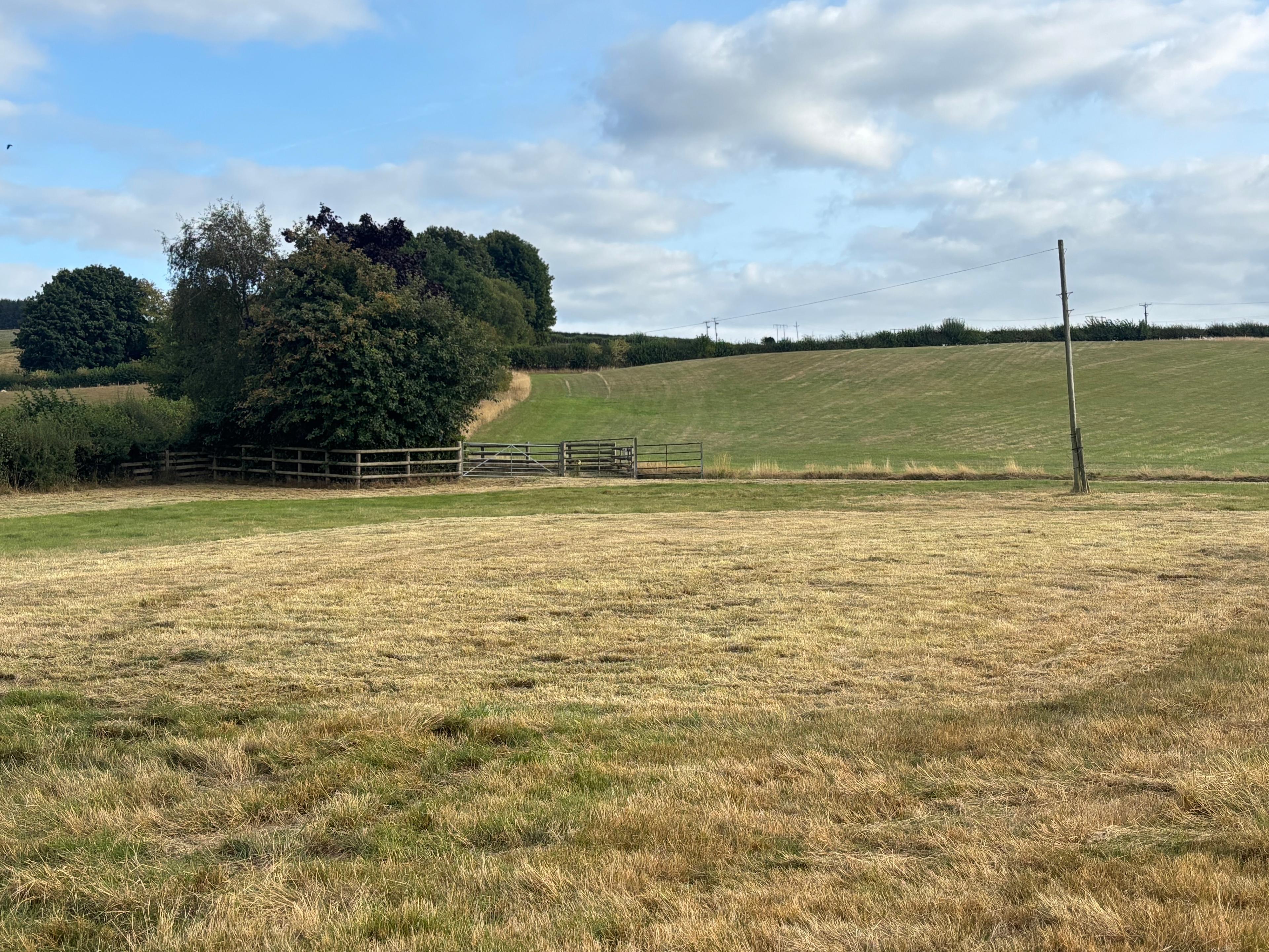 New House Farm Camping