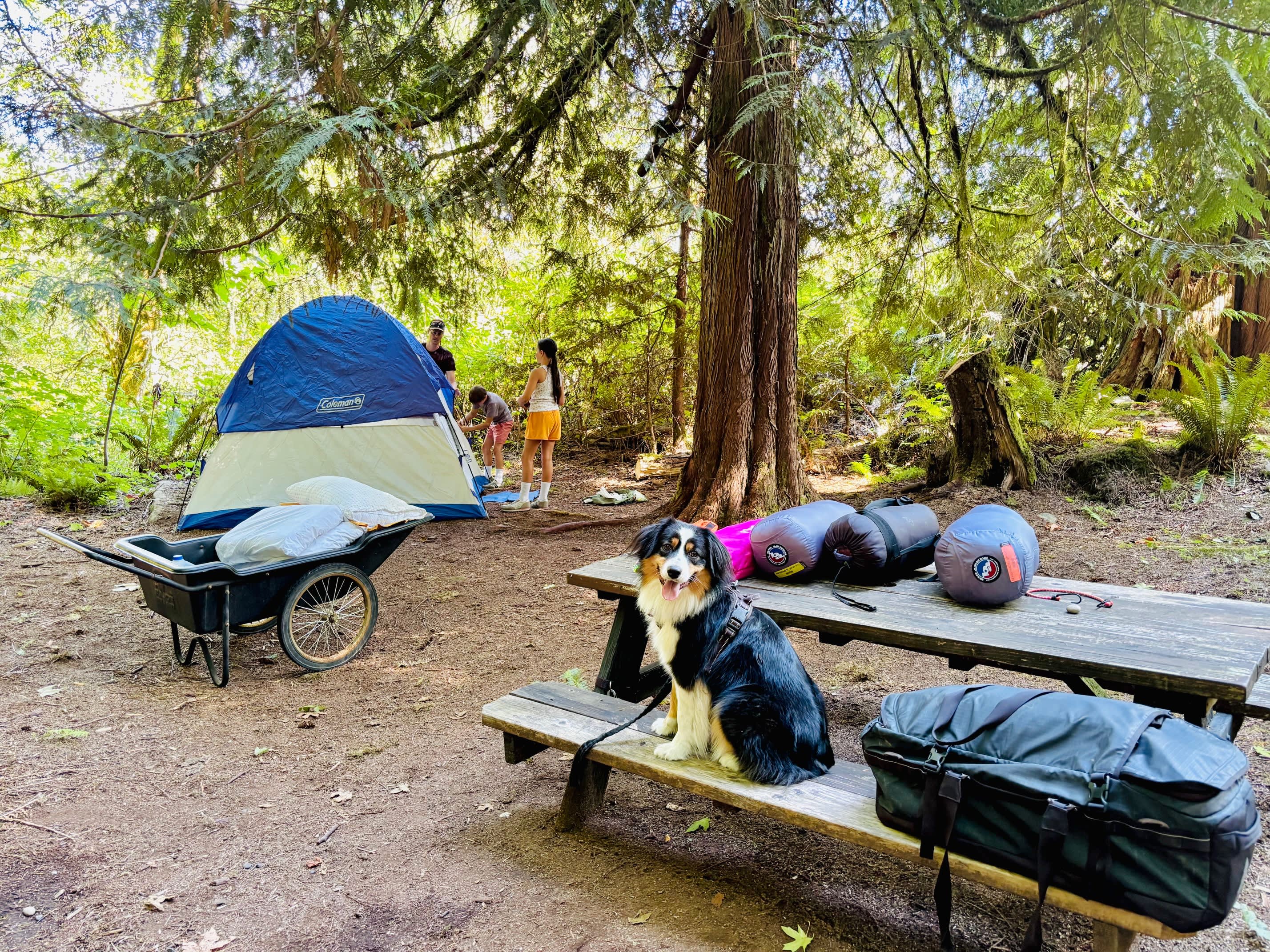 Kragnes Family Farm Mt Baker Camp