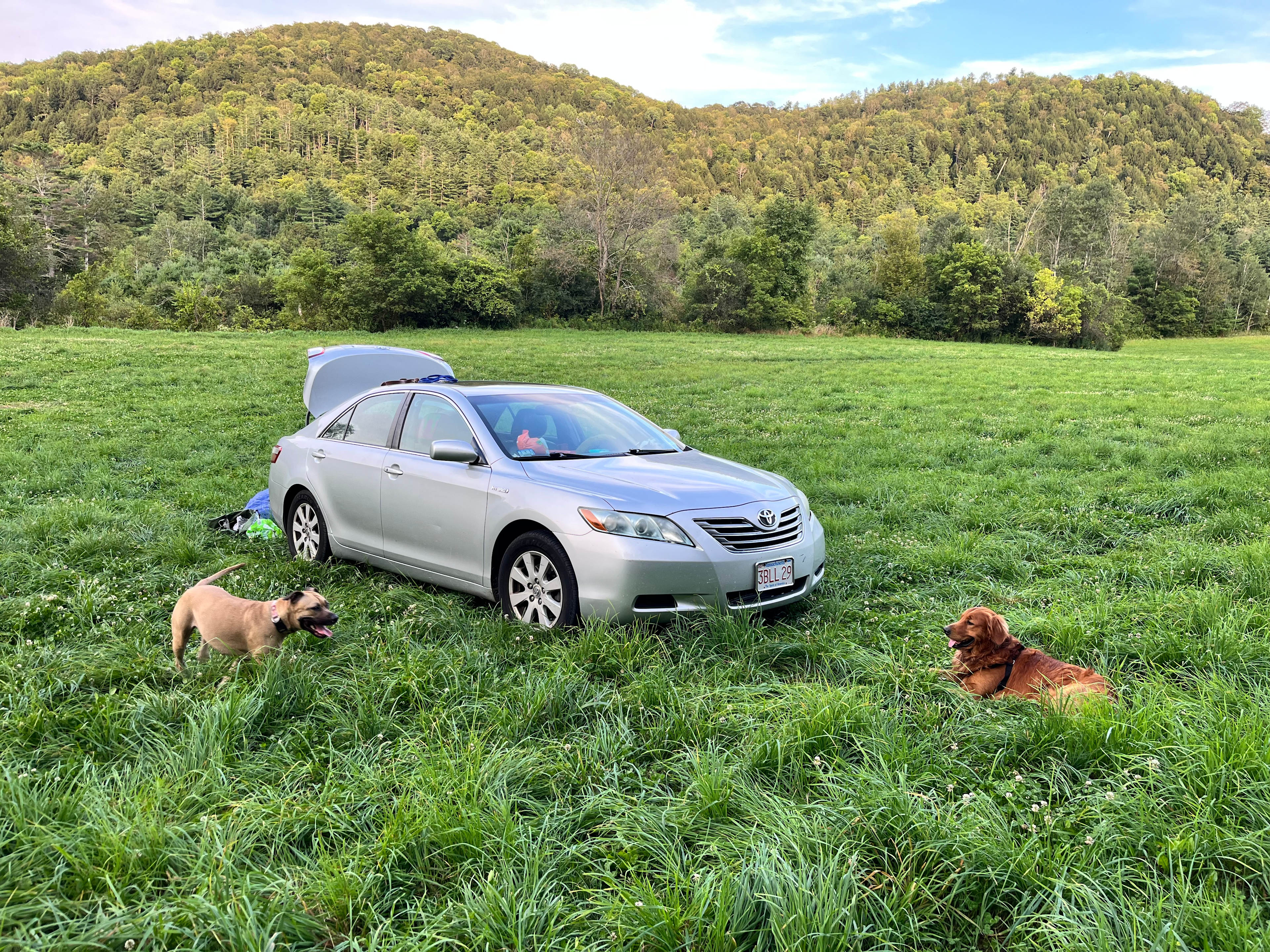 Crazy girl ladybug and Luca!