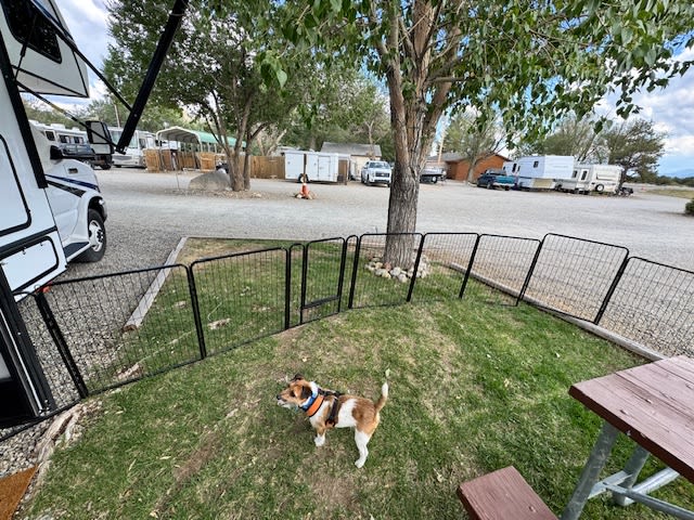 Our pet fence that was across their grass. A picnic table and campfire pit are fine but 6 fence posting aren't. 