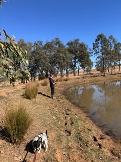 Rock Hill Home Retreat