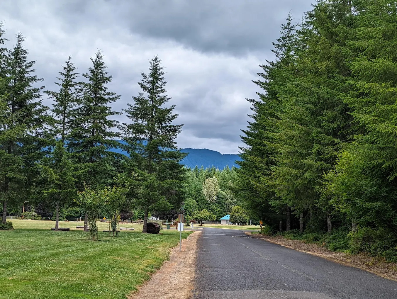 Cowlitz Falls Campground