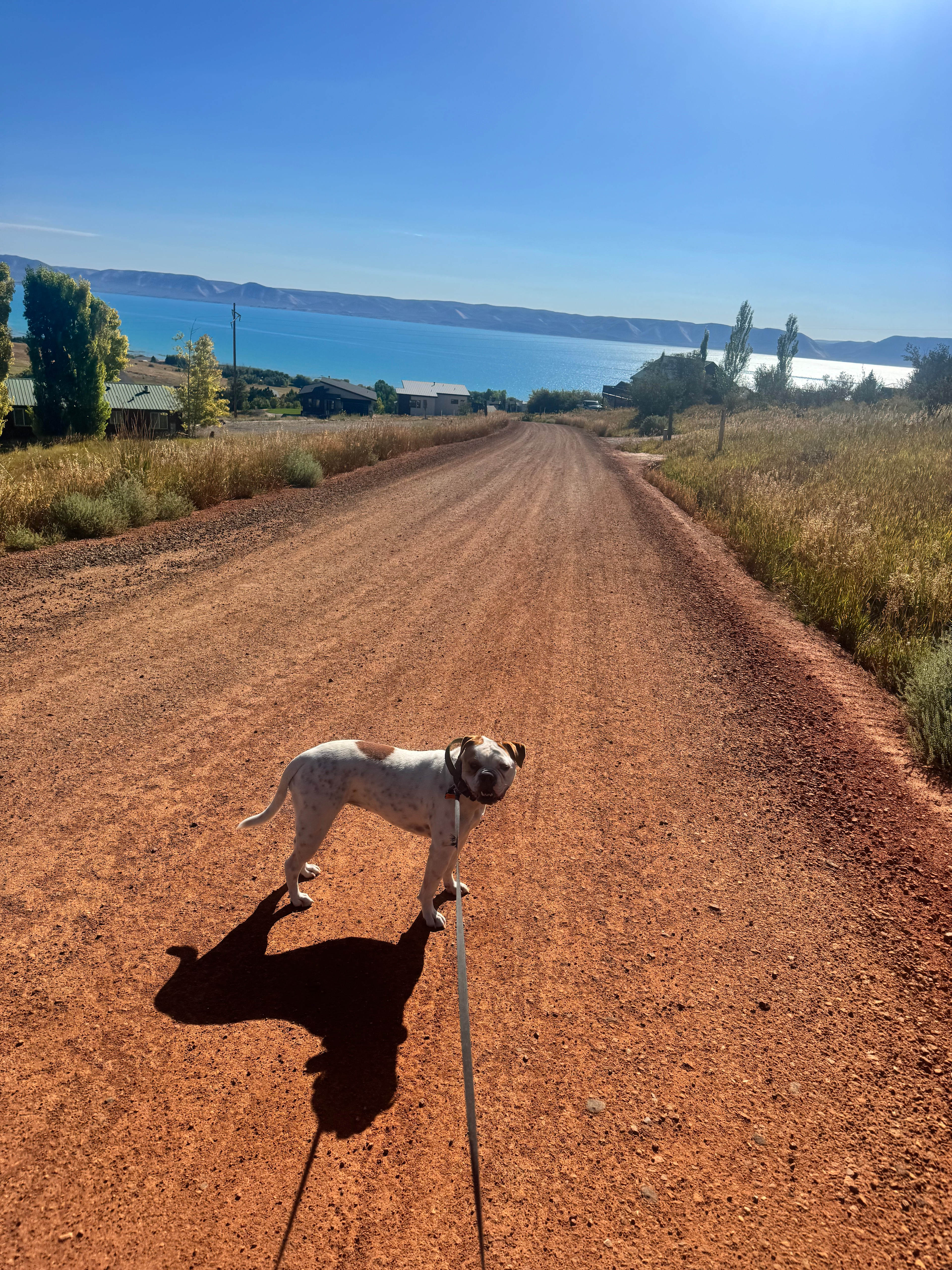 Bear Lake Raspberry Patch