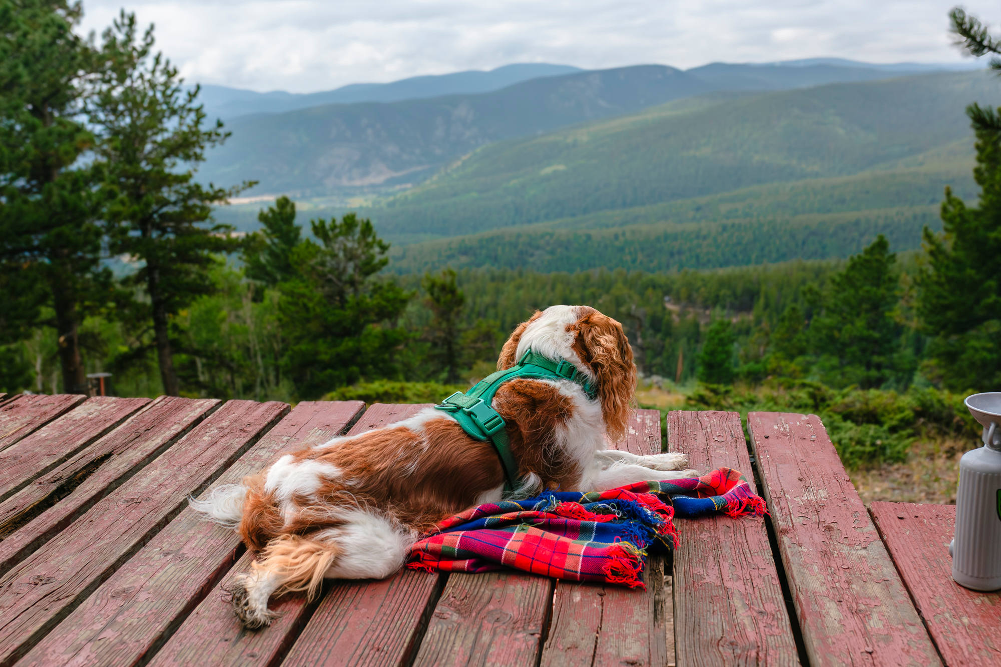 View from outside the door / patio