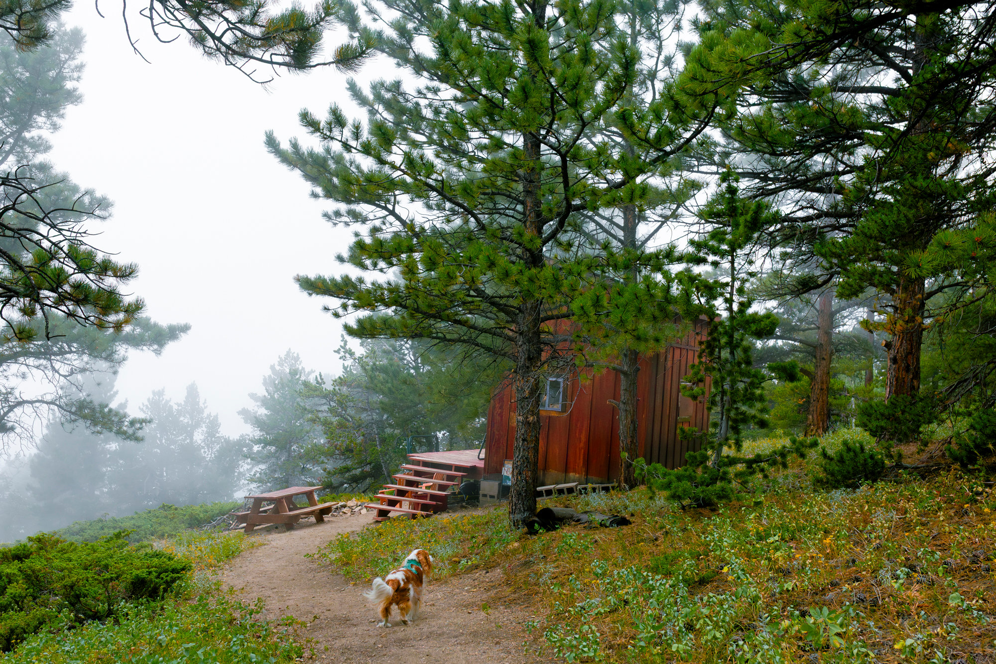 Walking to the cabin from the small trail