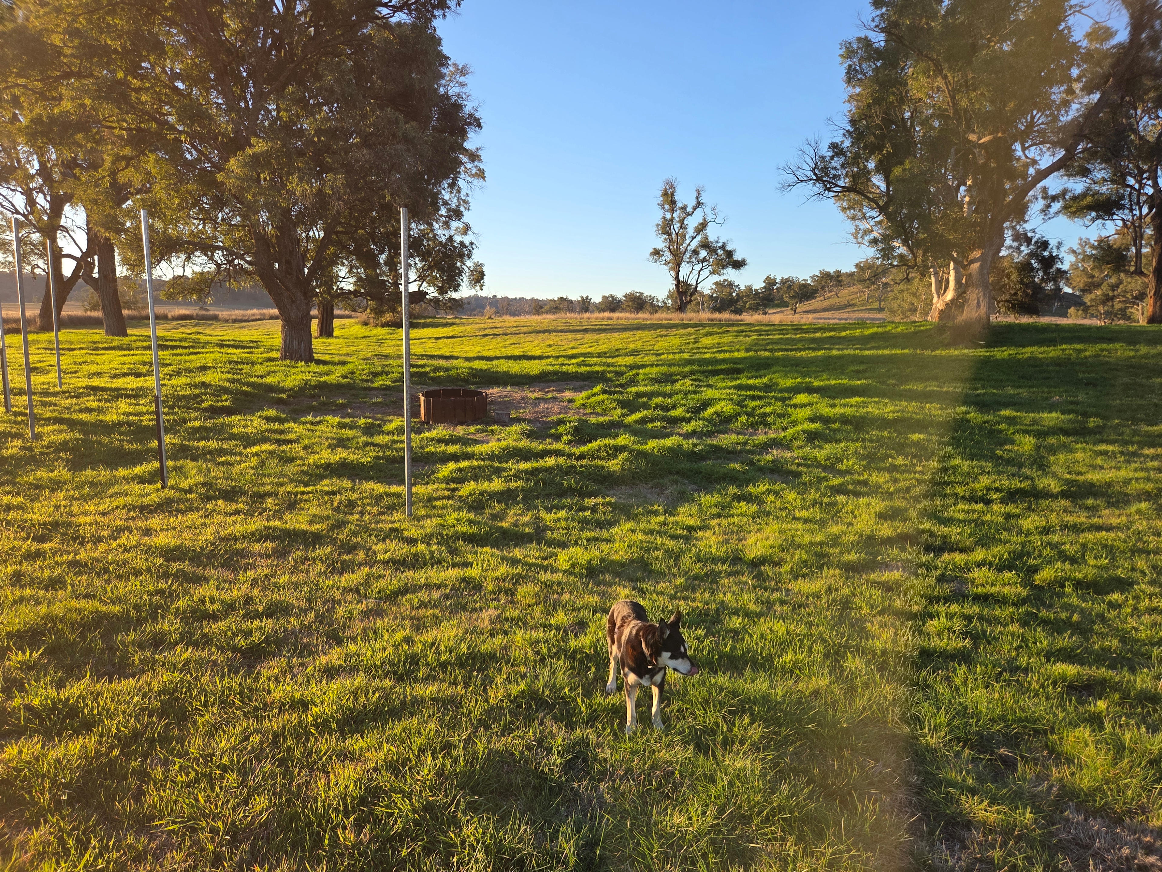 3A Camping experience.