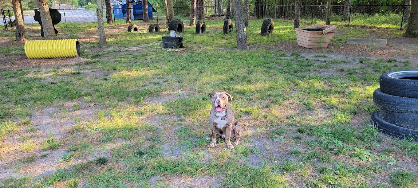 Indian Rock RV Park & Campground