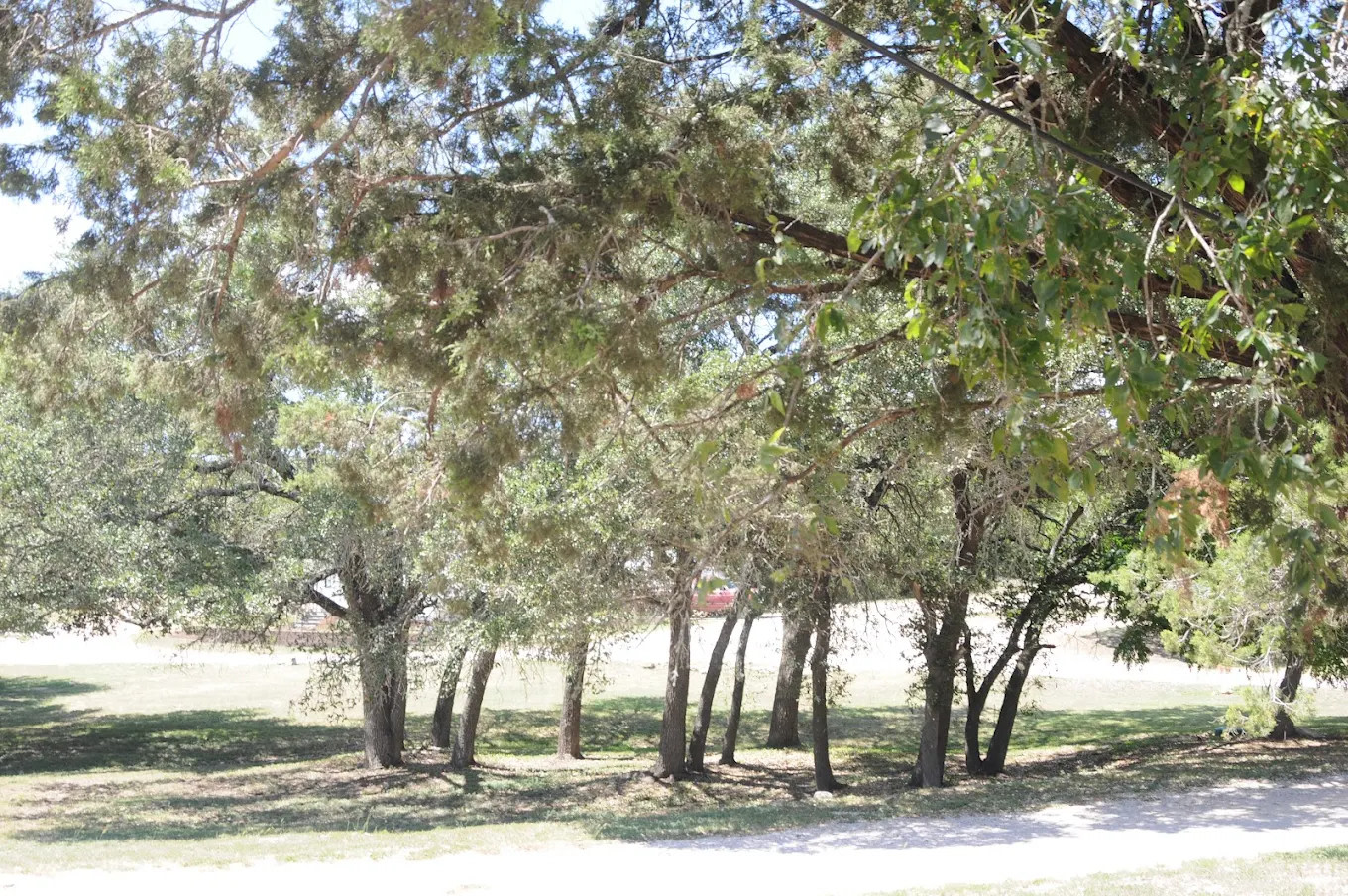 Patriot RV Park-Burnet