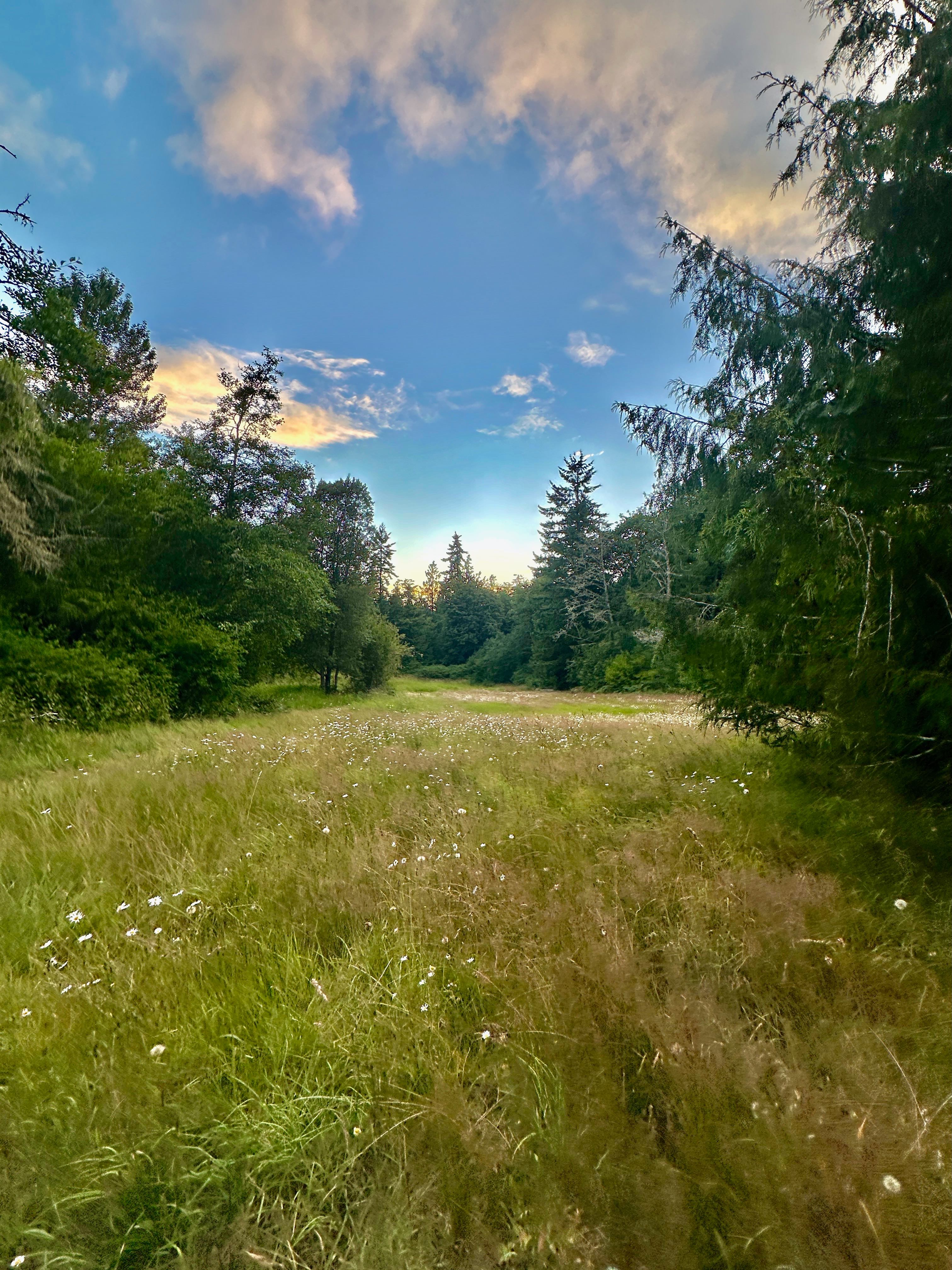 Everland Surf, MTB & Olympic NP!