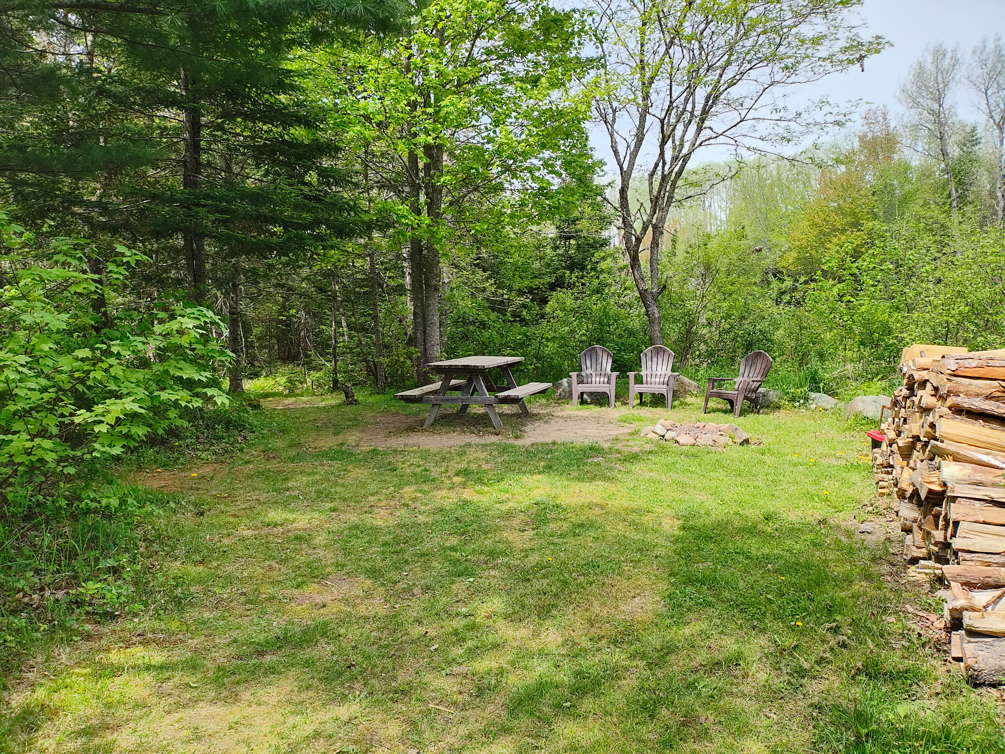 Site entrance with firepit, picnic table, chairs, and wood.
Out of picture, to the left, is the port-a-potty, trash bin, and more space to put a tent